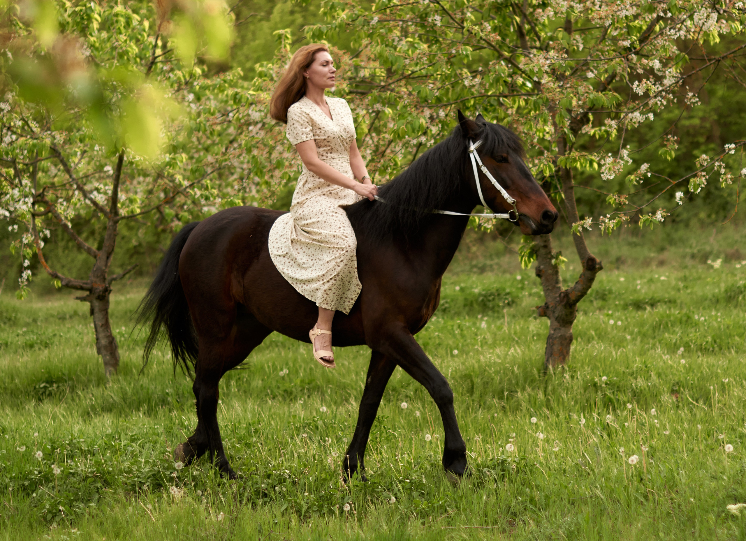 Фотосессия с лошадью Севастополь. Фотограф в Севастополе