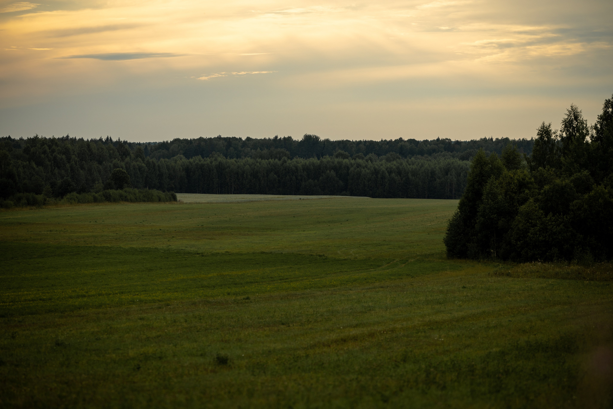 Природные пейзажи. Наталия Клевинскас портретный фотограф в Костроме
