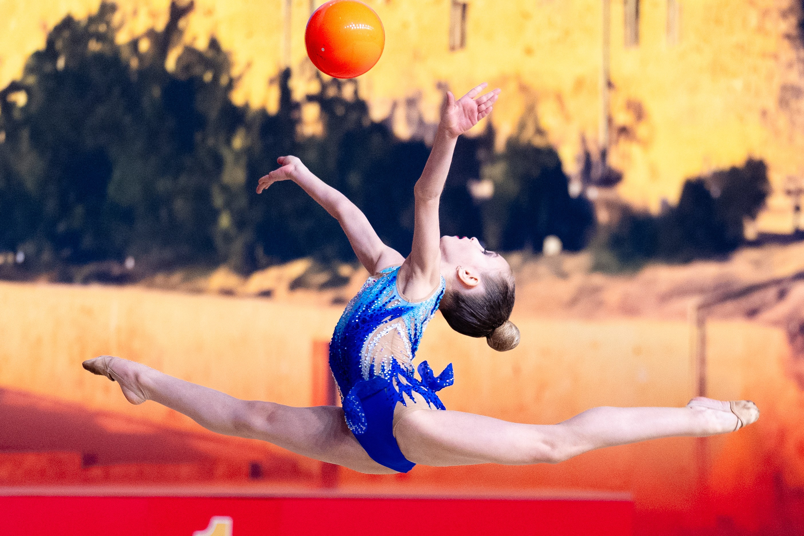 Friendship international Cup, Yerevan. Dx2photo — спортивные фотографы Денис Гладков и Дарья Кузовлева