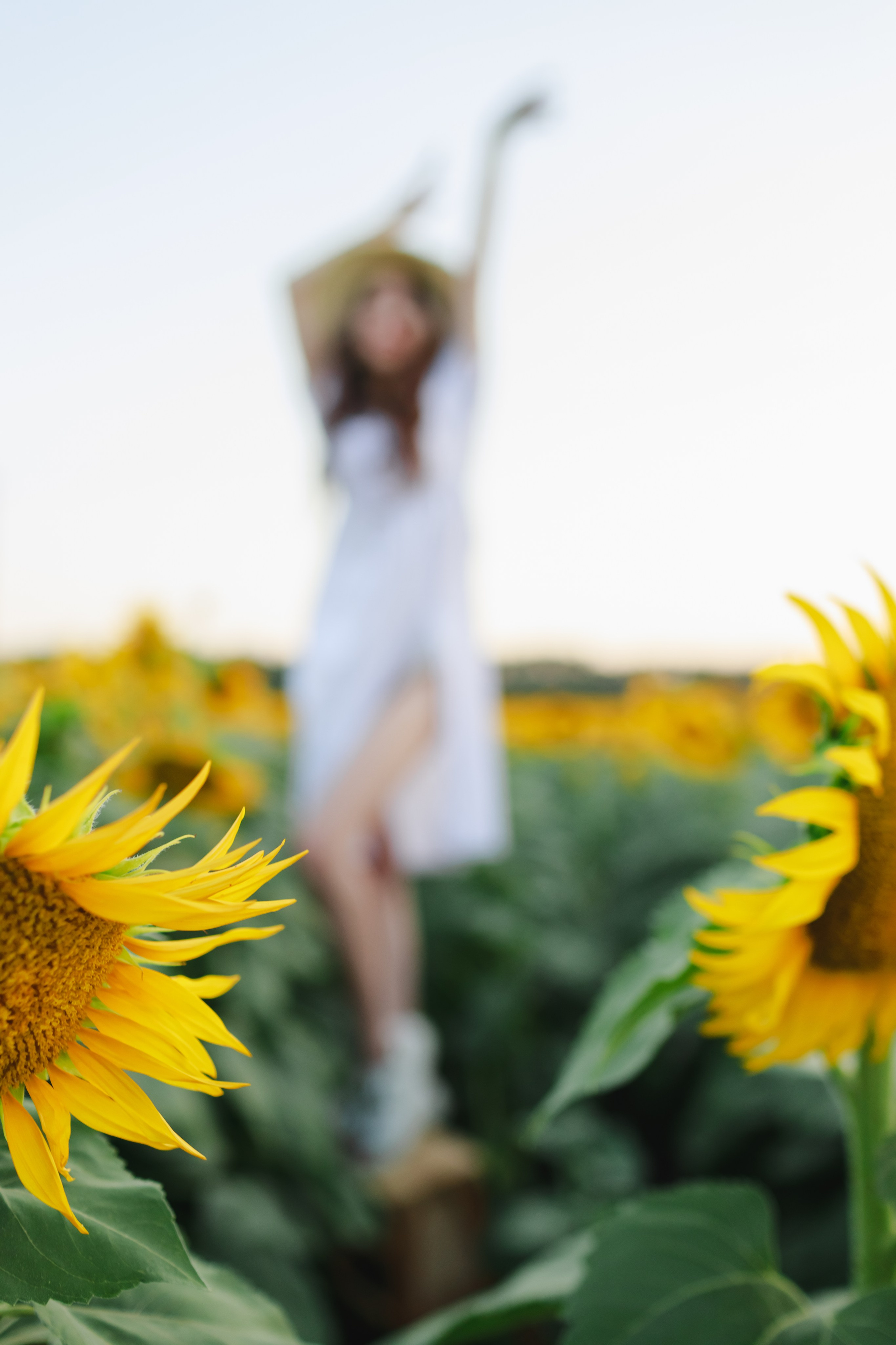 Евгения и Кира. Поле подсолнухов. Детский и семейный фотограф в Краснодаре Альбина Морозова