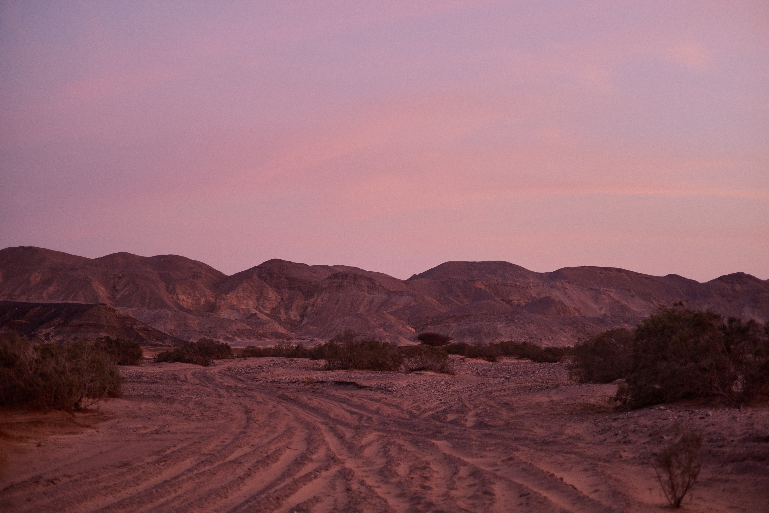 Улица горизонтальная. Jorgis — фотограф в Хургаде / обучение фотографии