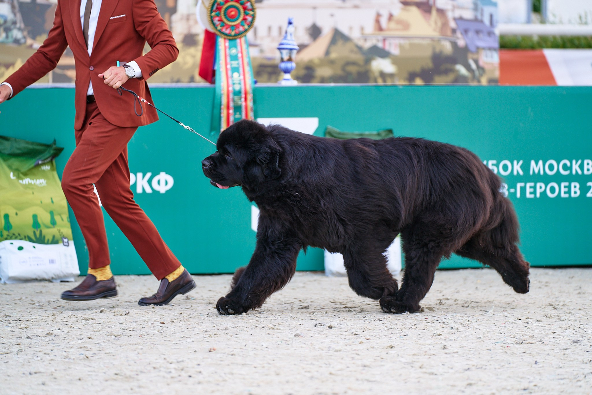 09.06.2024, «РОССИЯ. КУБОК МОСКВЫ 2024 & КУБОК ГОРОДОВ-ГЕРОЕВ»