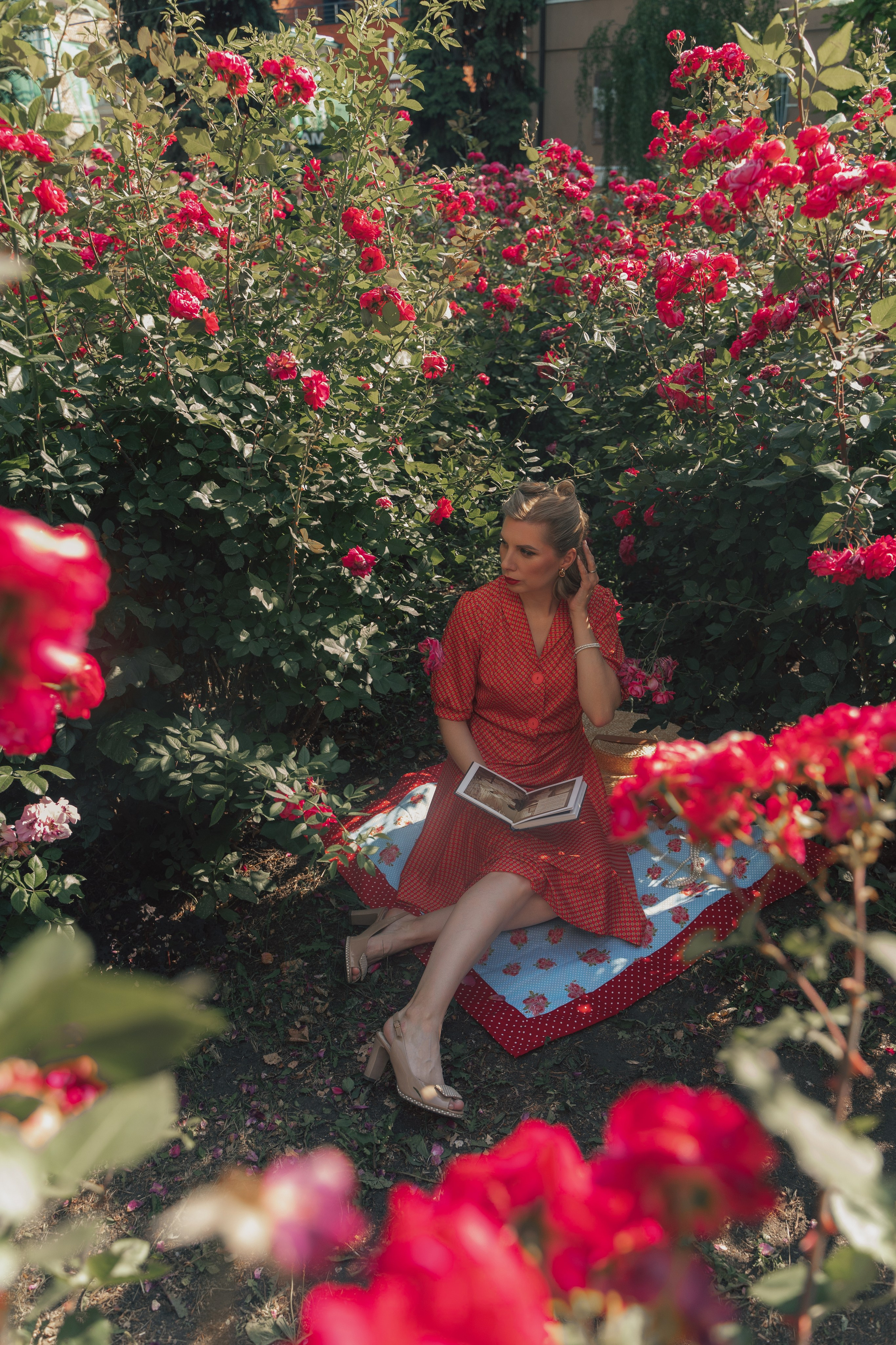 Розы. Фотограф Мария Зайчик