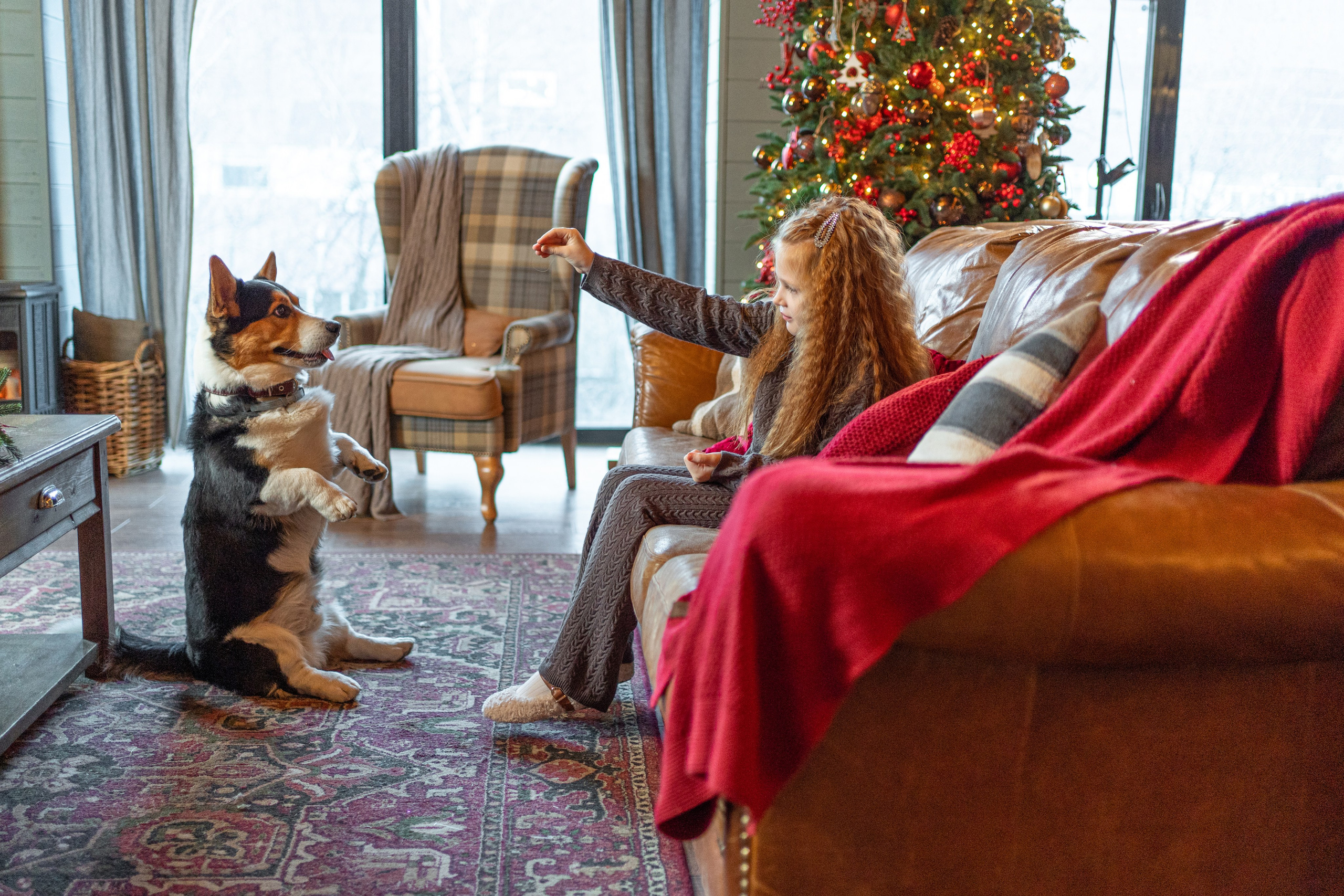 Новогоднее шале. Главная