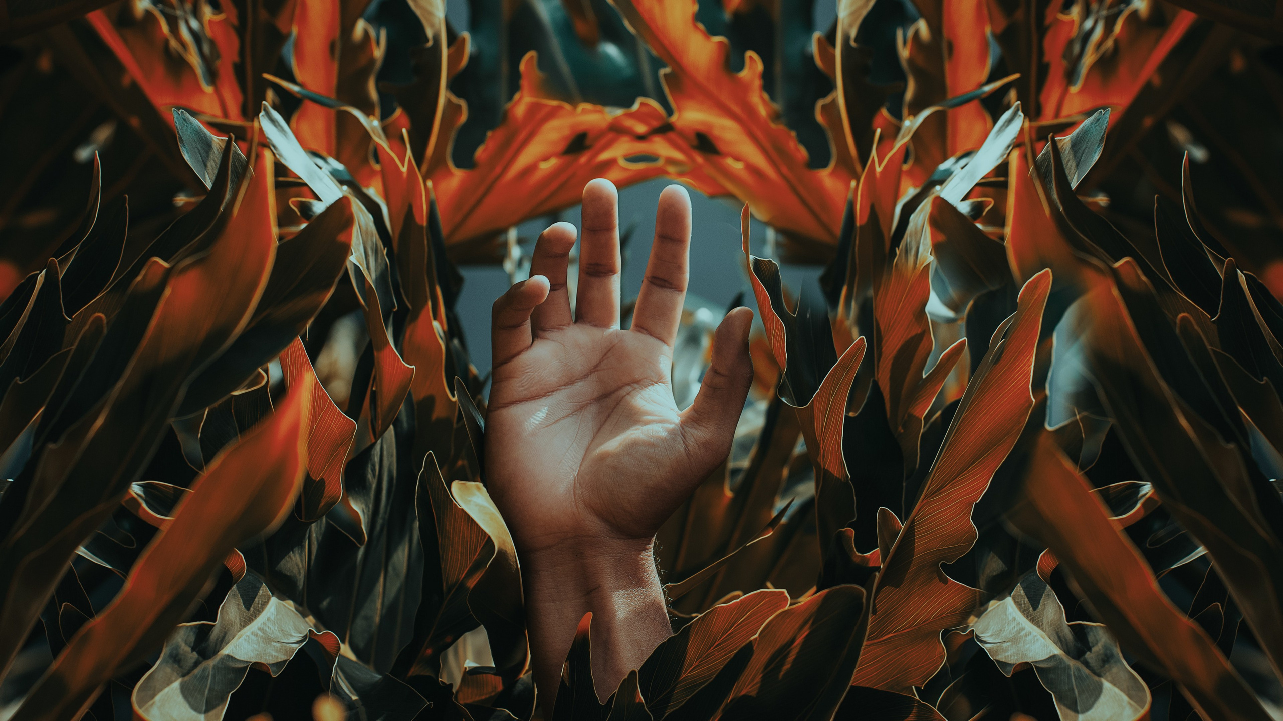 Проектор. Фотостудии К69