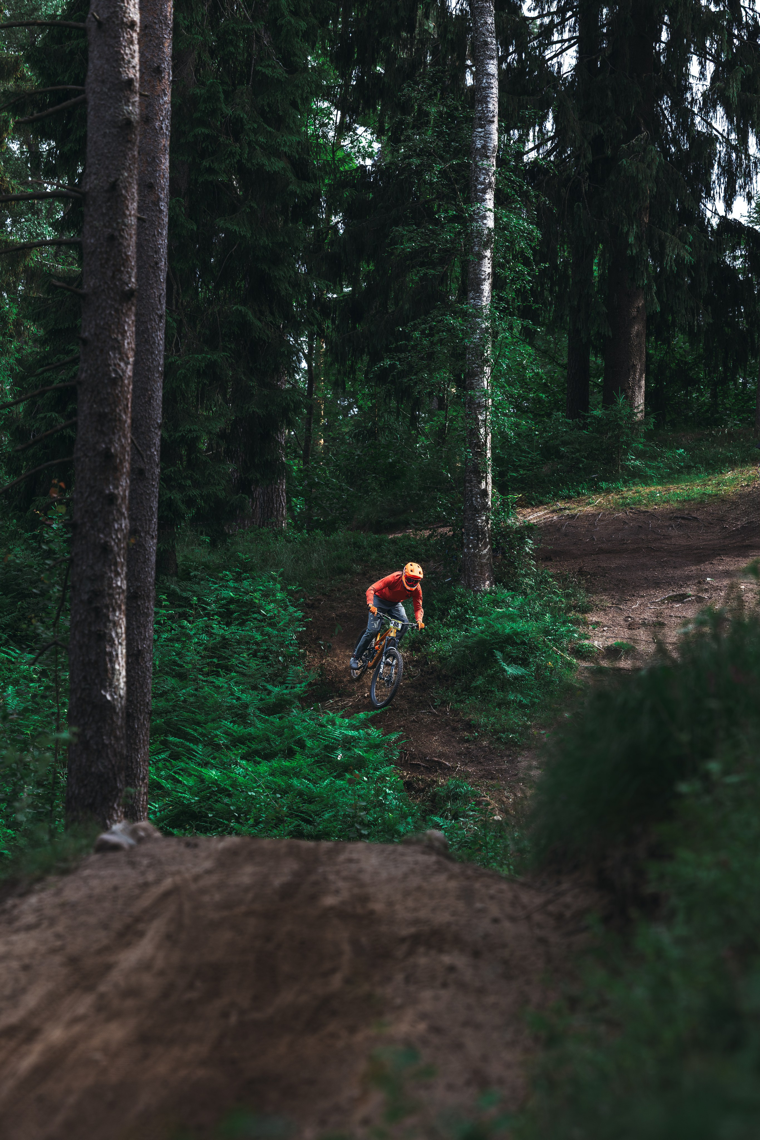 Этап эндуро в Золотой Долине. Фотограф анималист Никита Натальный
