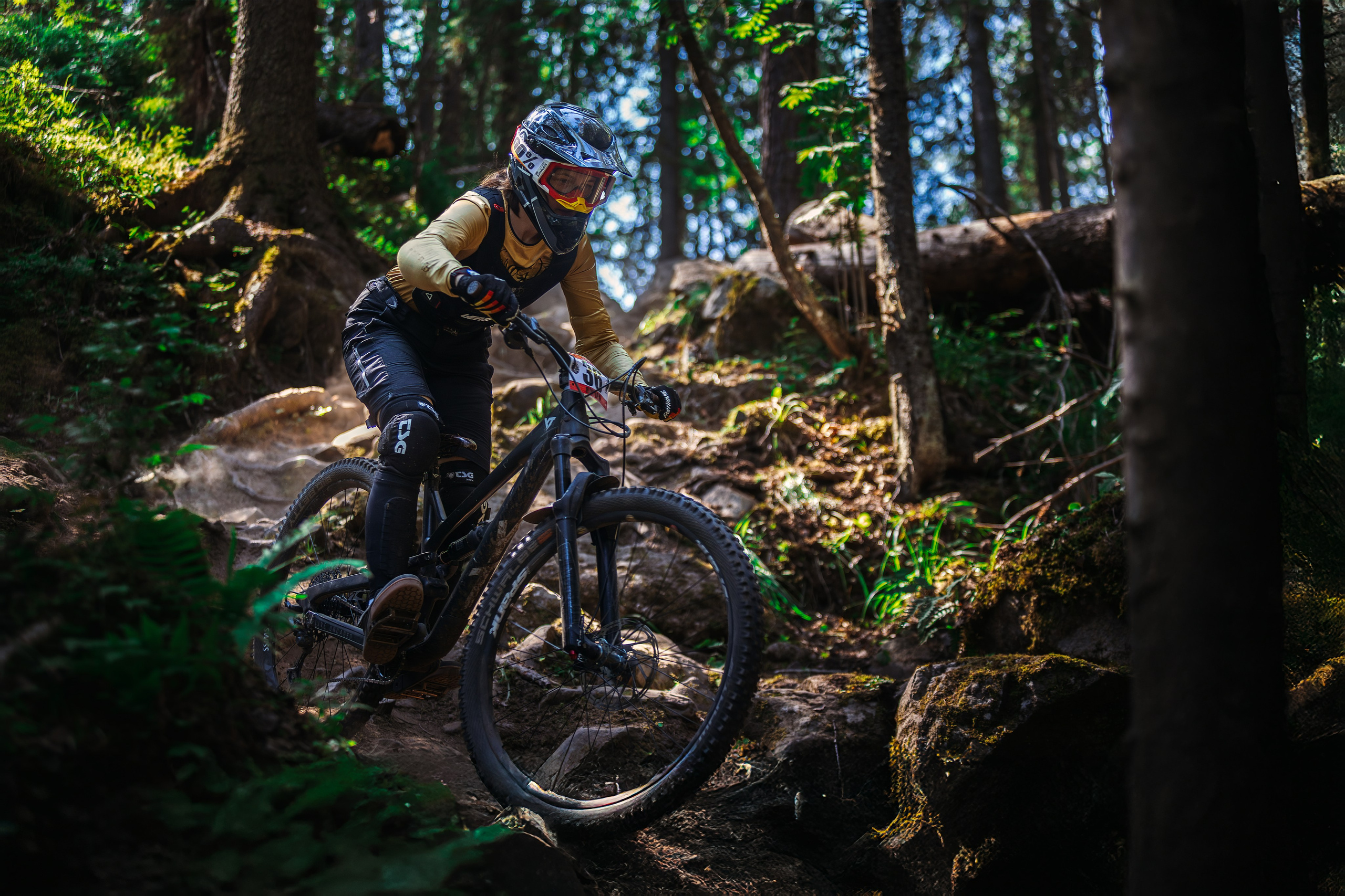 Гонка Ялгора. Фотограф анималист Никита Натальный