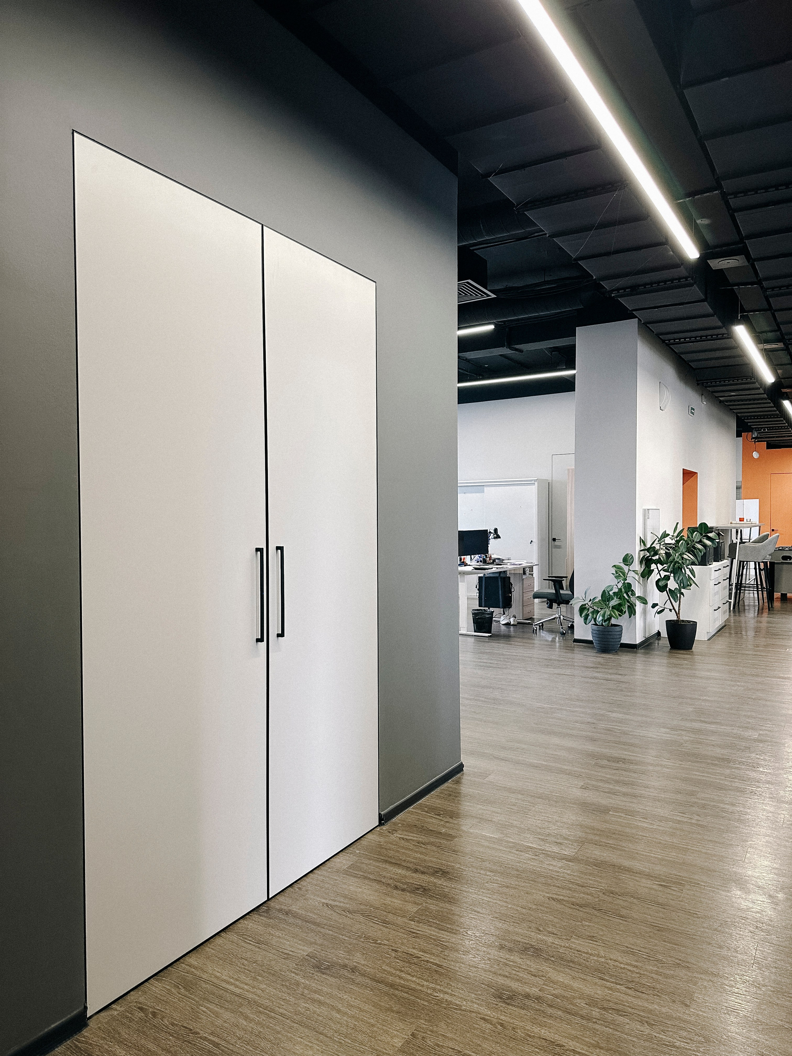 Когда офис — второй Дом. Павлова Евгения