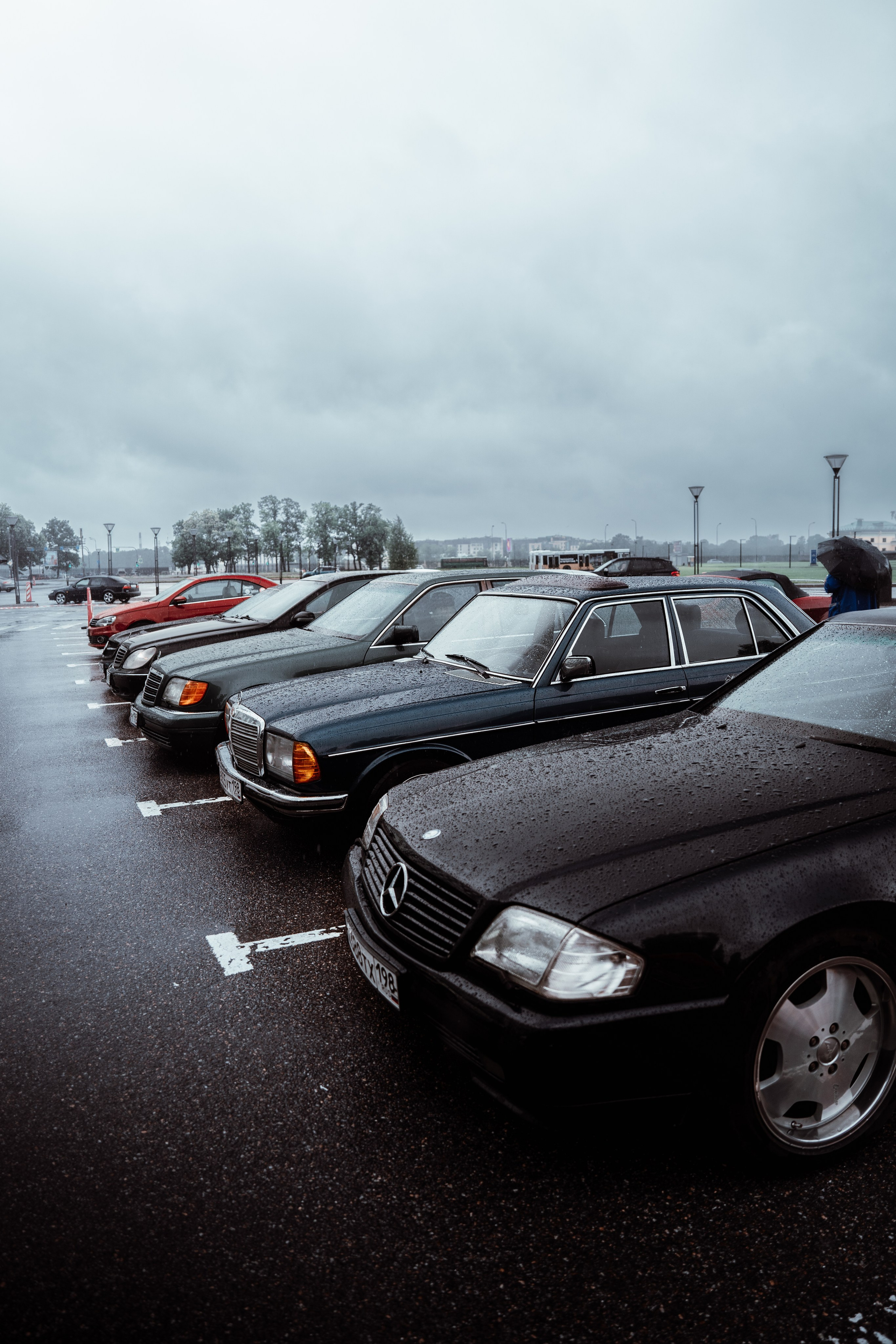 BENZ CLASSIC PICNIC. АВТОСПОРТИВНЫЙ ФОТОГРАФ
