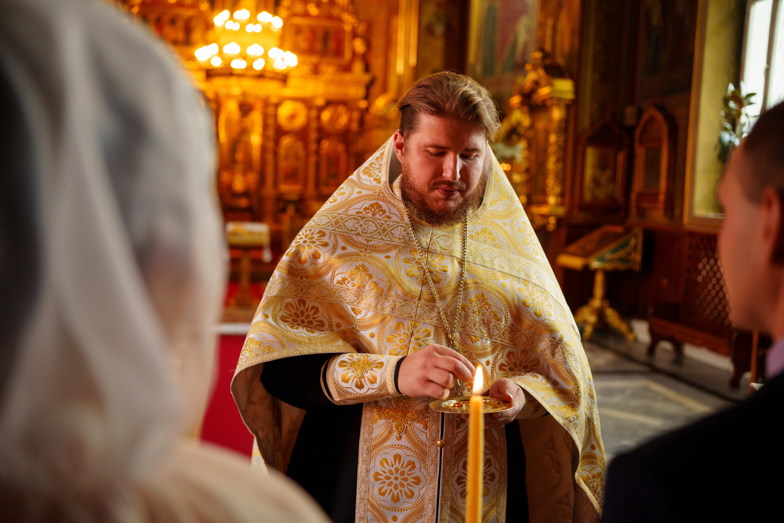 24.09.2023. Фотограф Андрей Чеботок (Белгород, Курск, Воронеж, Старый Оскол)