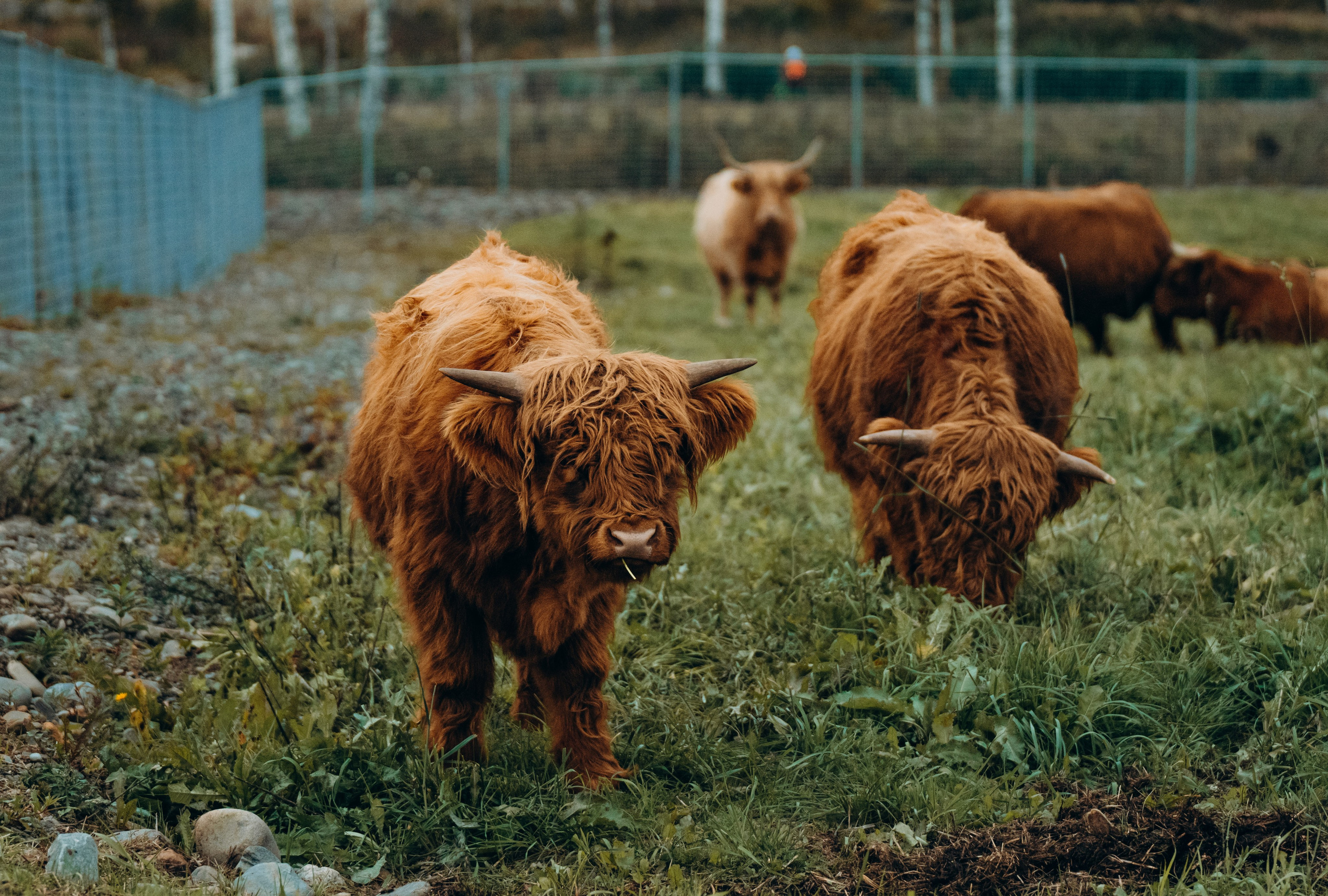 СЕВЕР. Event фотограф Степанова Александра