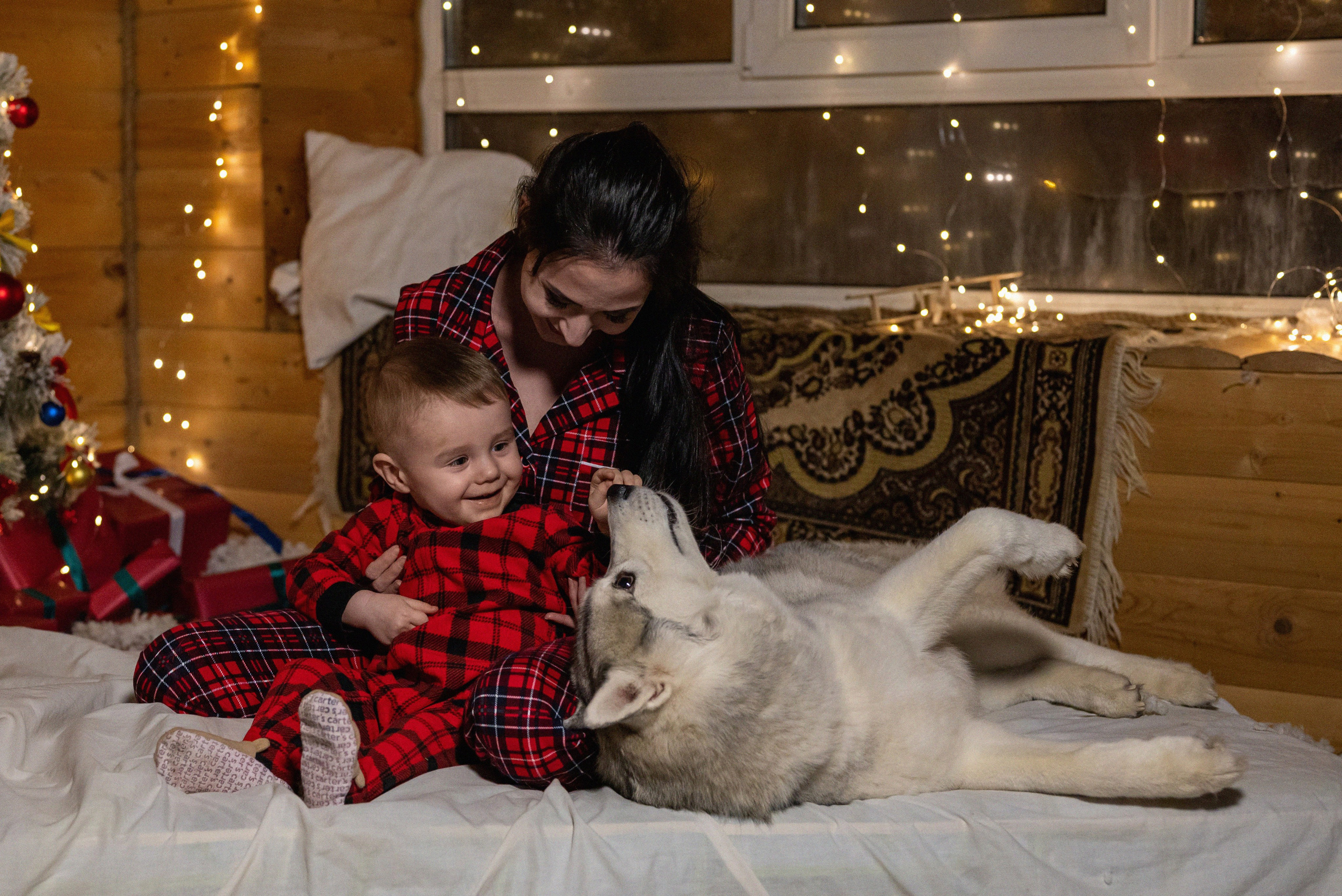 Фотопроект с хаски 2024 г. Фотограф в городе Салават