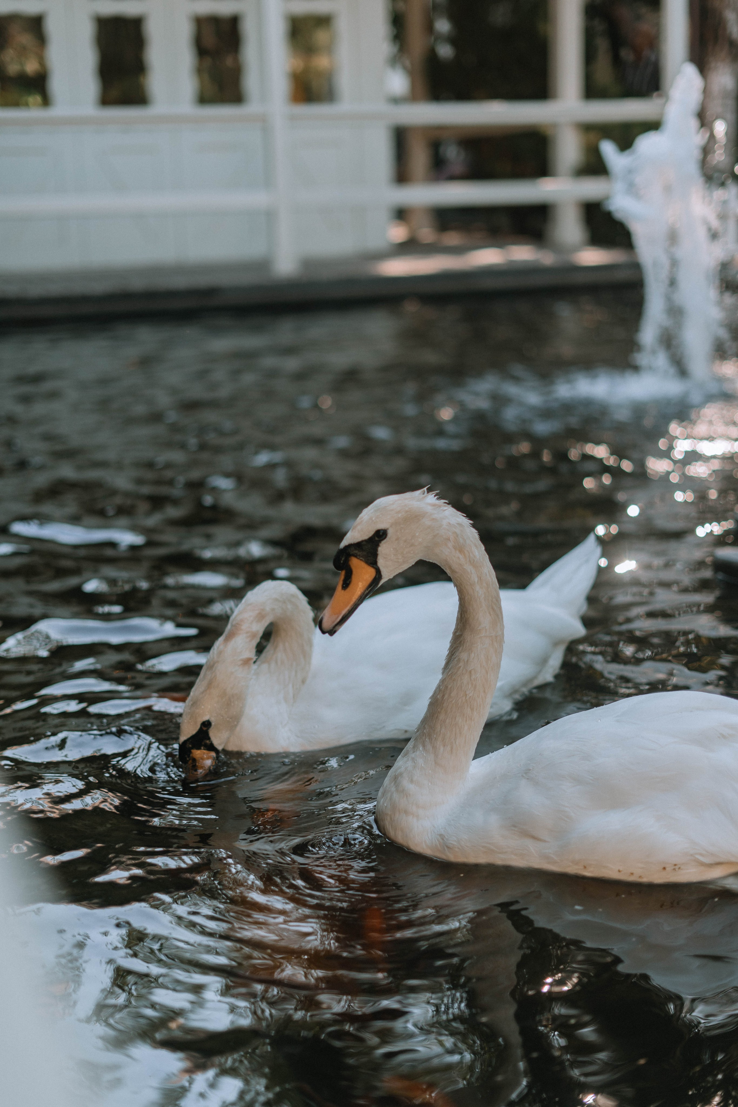 Никита & Ангелина (Конфидециальная)