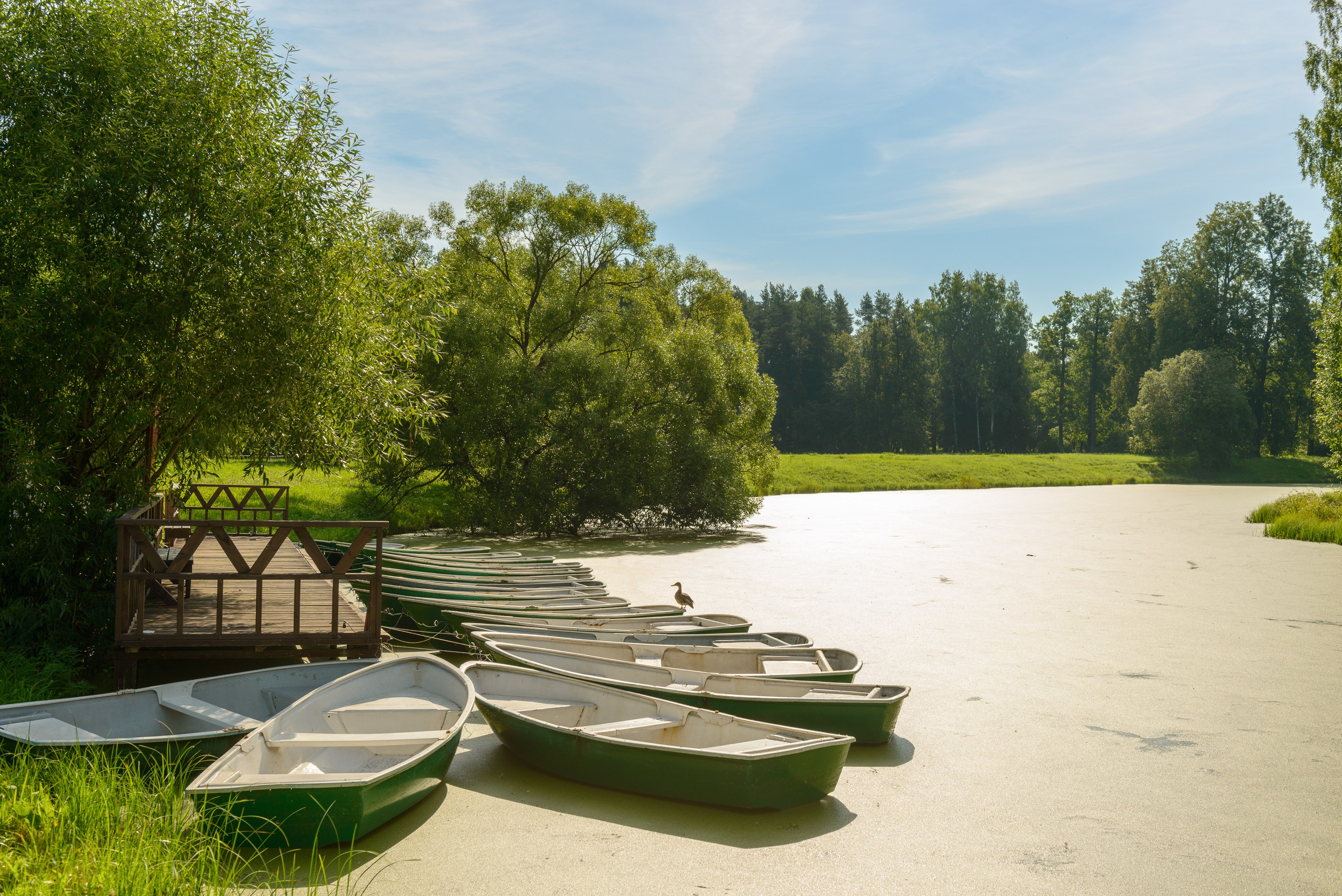 SAINT PETERSBURG | SUBURBS. Personal website of photographer Dmitry Raikin