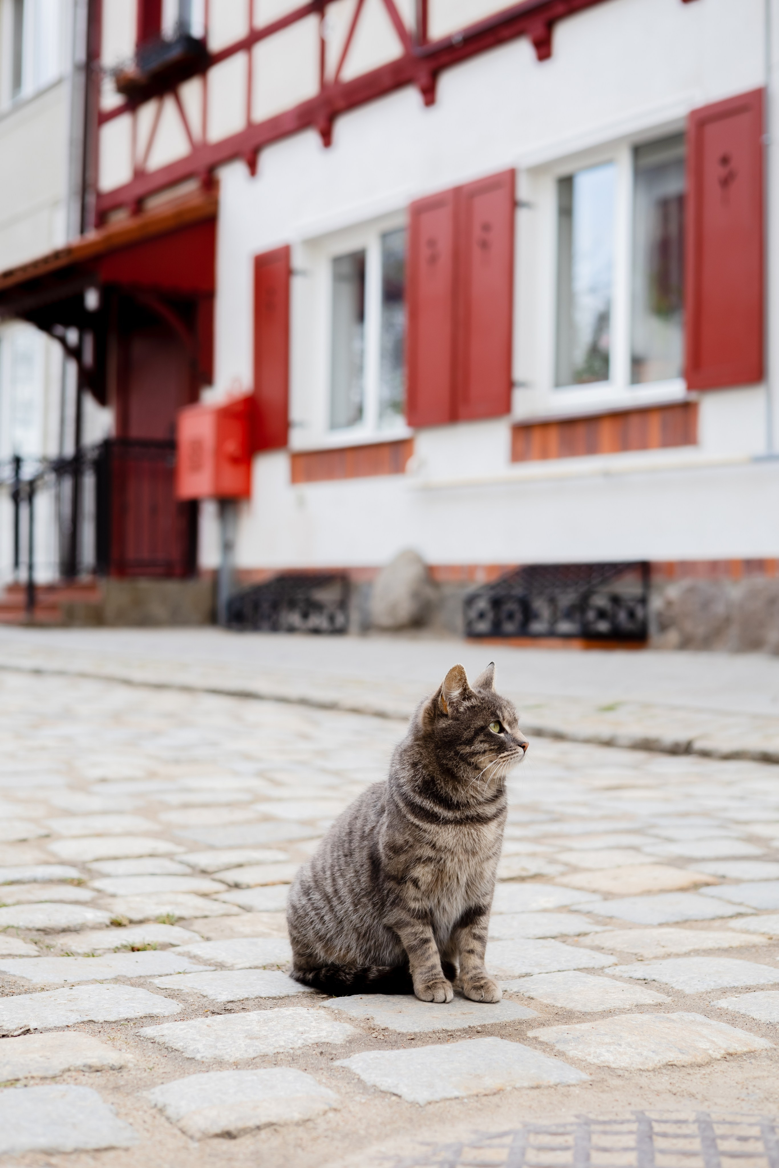 «Провинциальный Гердауэн» Мария и Ксения