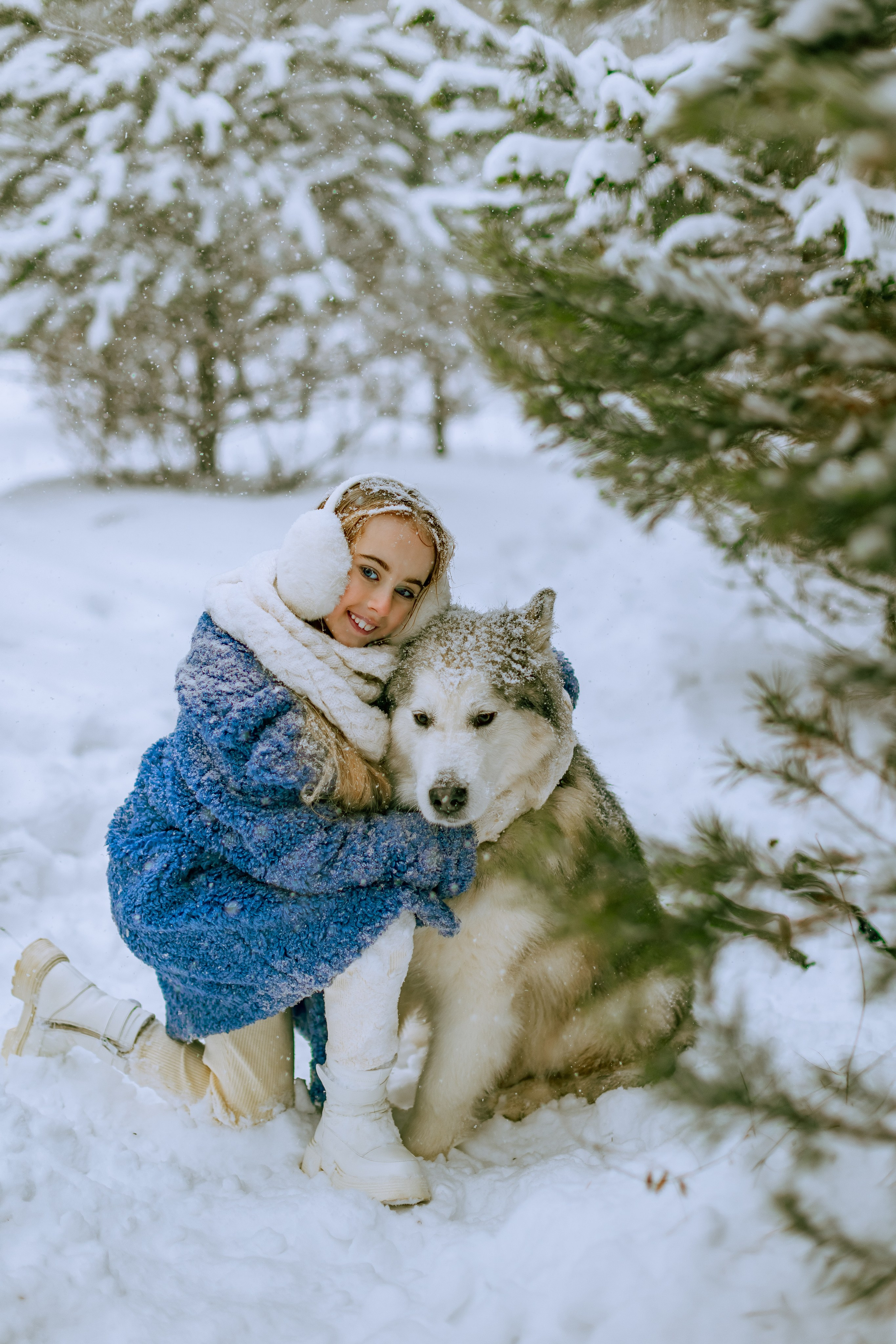 София и аляскинский маламут. Фото и видео Москва, Московский. Свадебный фотограф, видеограф, фотосессии, видеосъемка