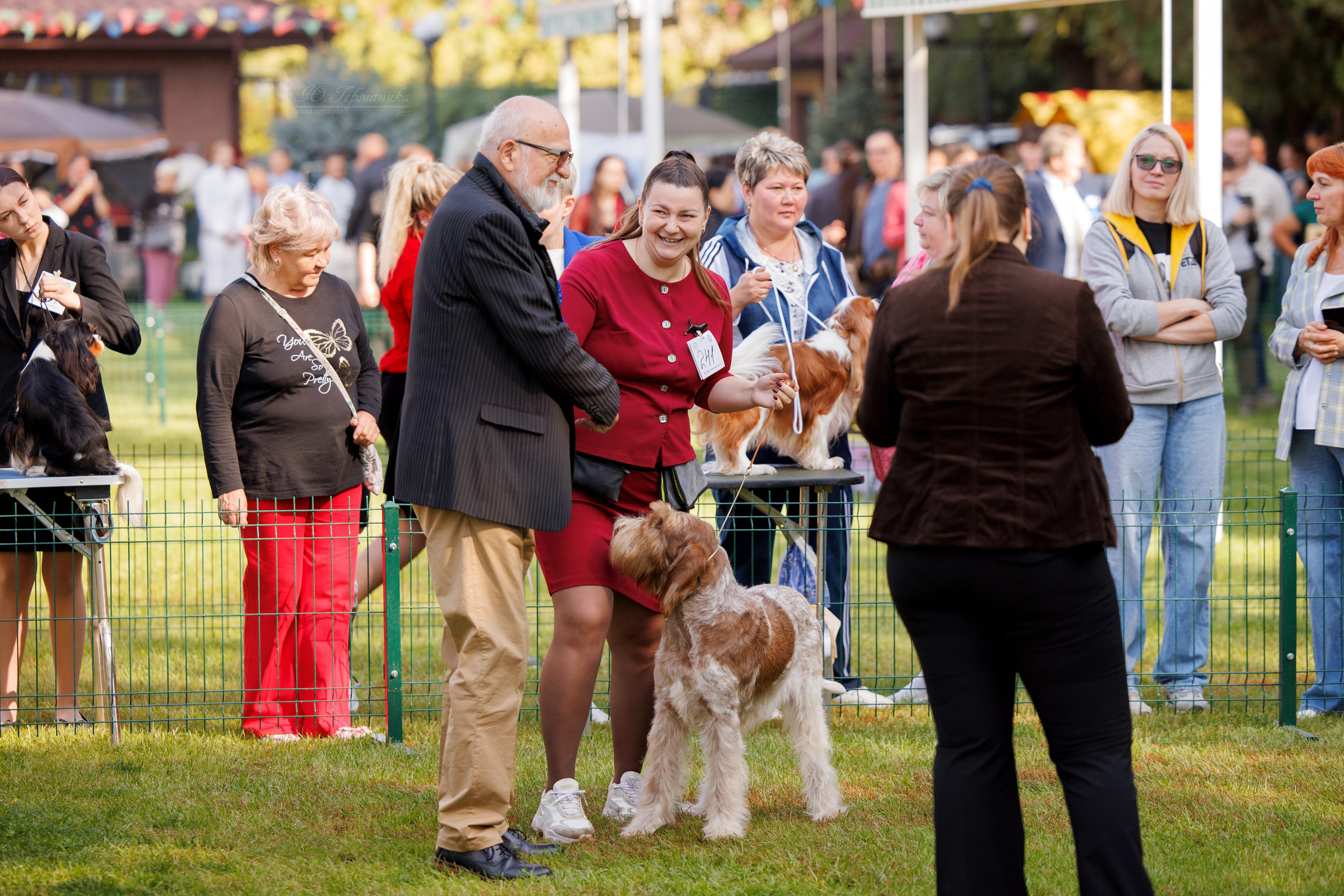 Бишкек 3х CACIB 26-28.09.2025. Фотограф-анималист Юлия Германика