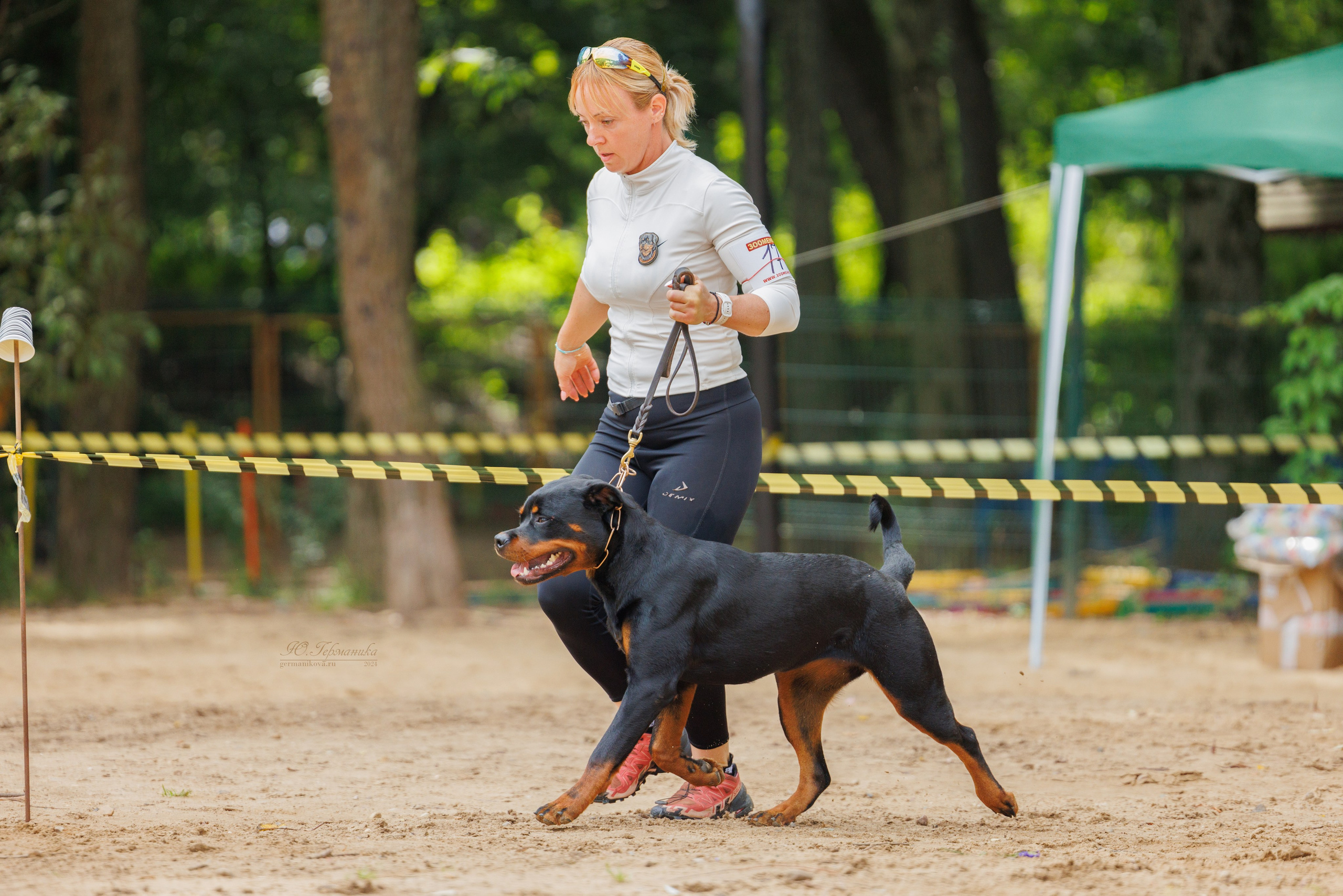 Рязань-Ховрино 10-11.08.2024 3хмоно ротвейлеров. Фотограф-анималист Юлия Германика