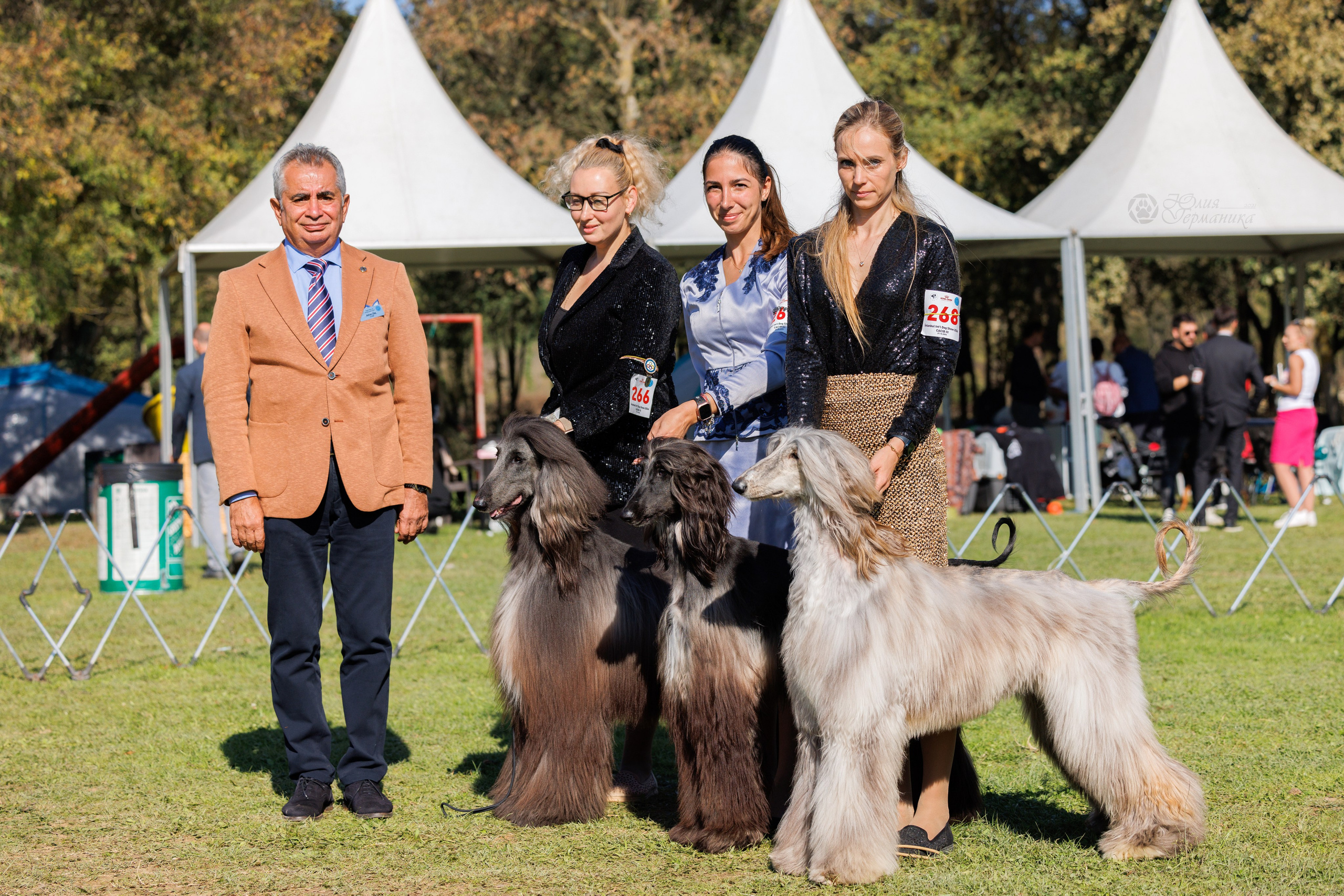 Туция,Стамбул 2хCACIB 26-27.10.24. Фотограф-анималист Юлия Германика