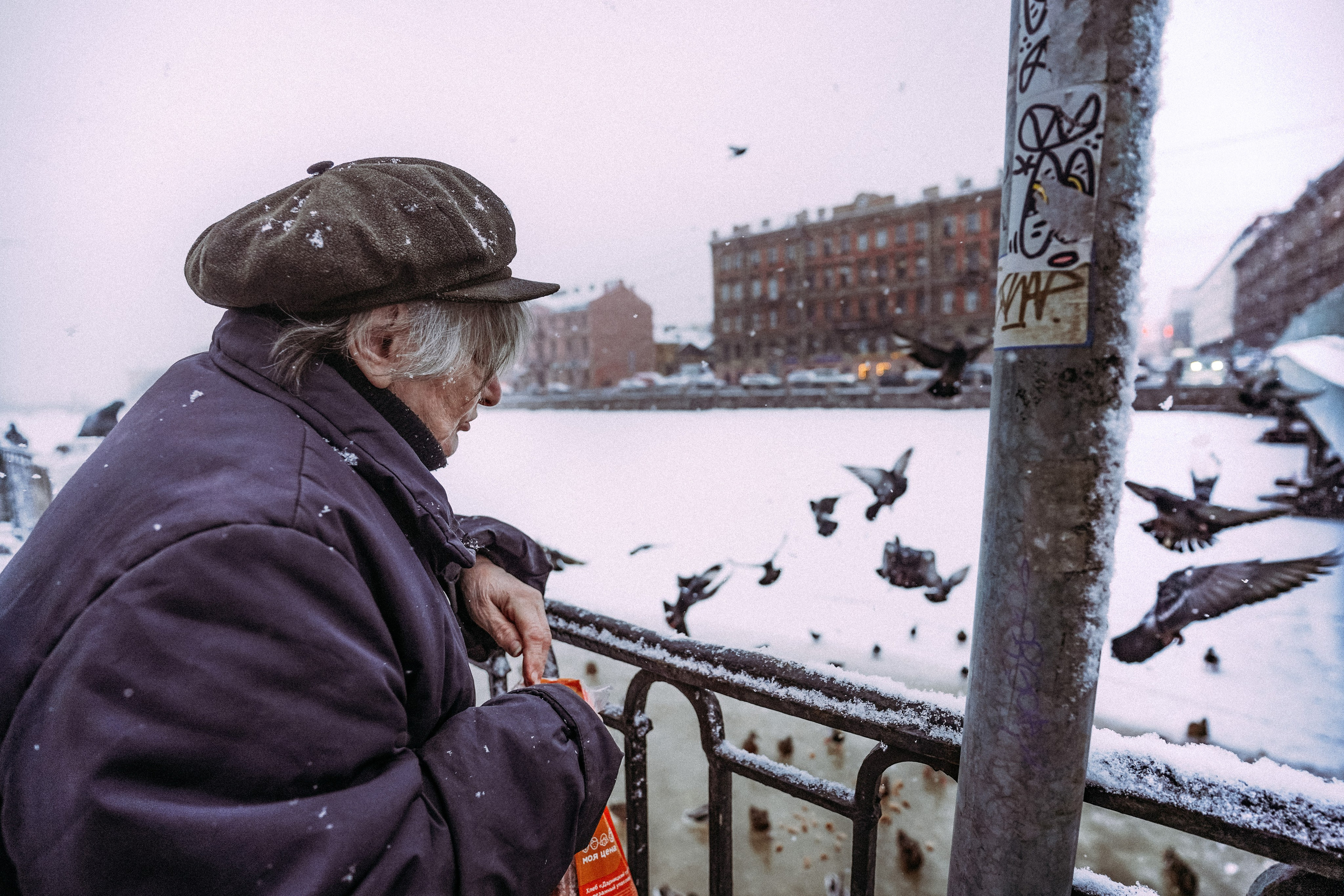 Пернатый психоз. Стрит-фотография, полная абсурда, идиотизма и красоты