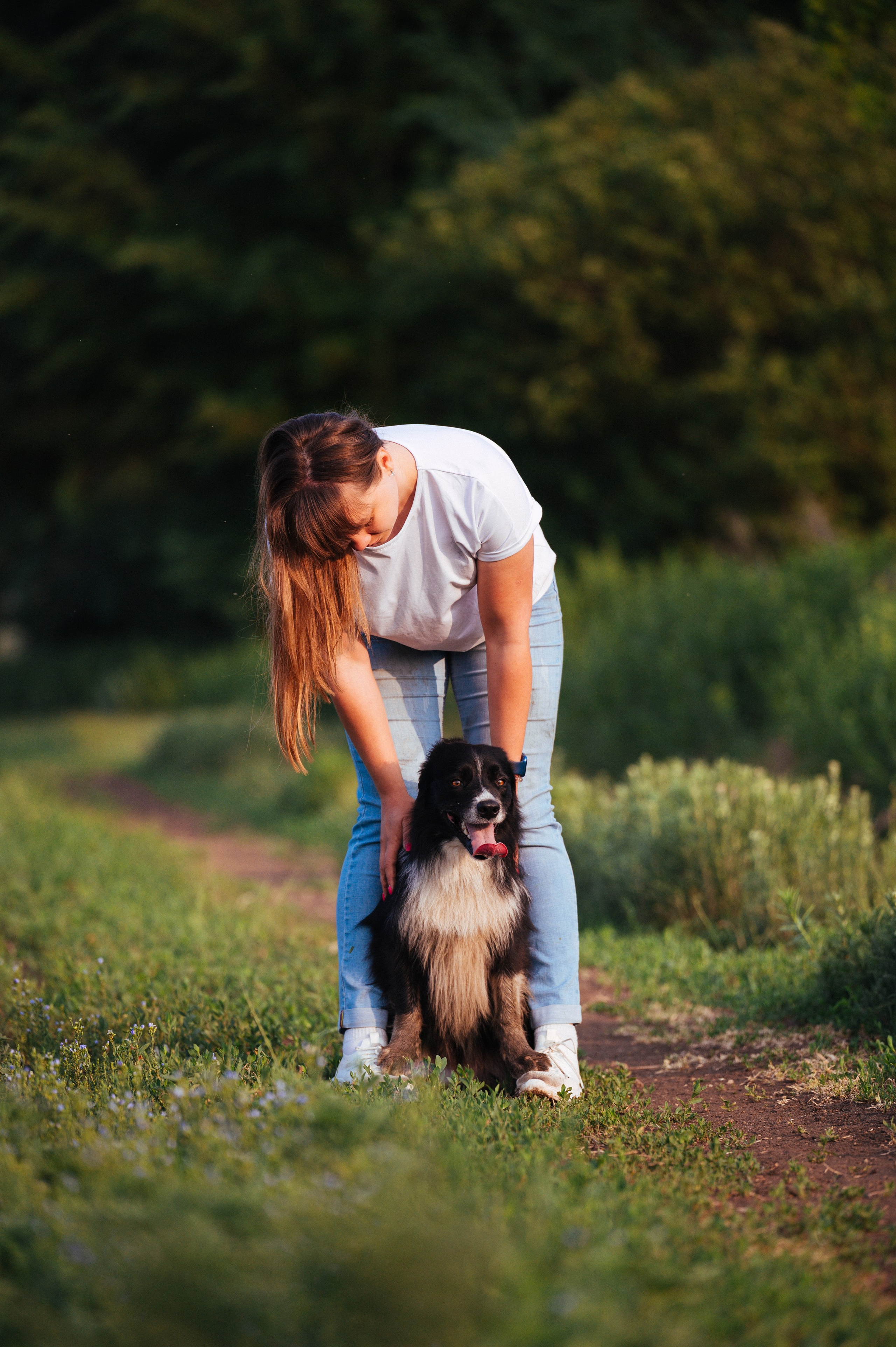Прогулка на рассвете с бордер-колли. Фотограф в Ростове —на — Дону