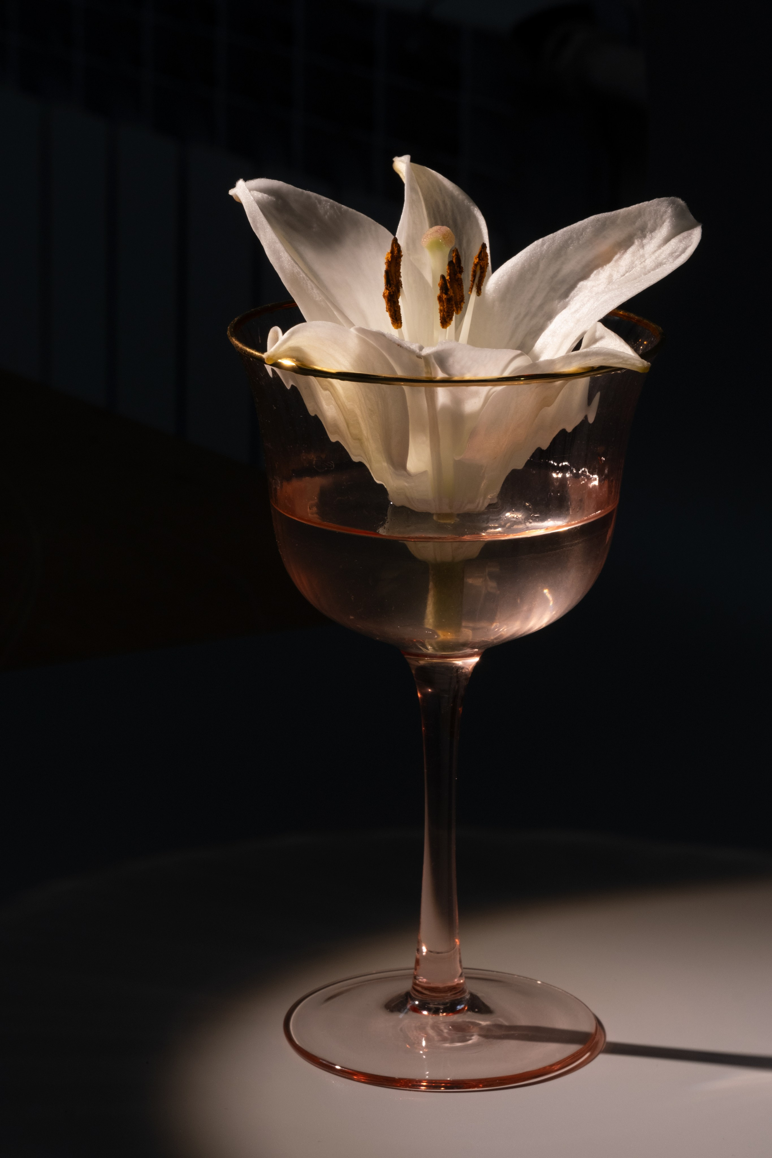 Лилия в фужере. Фотограф Коробова Екатерина