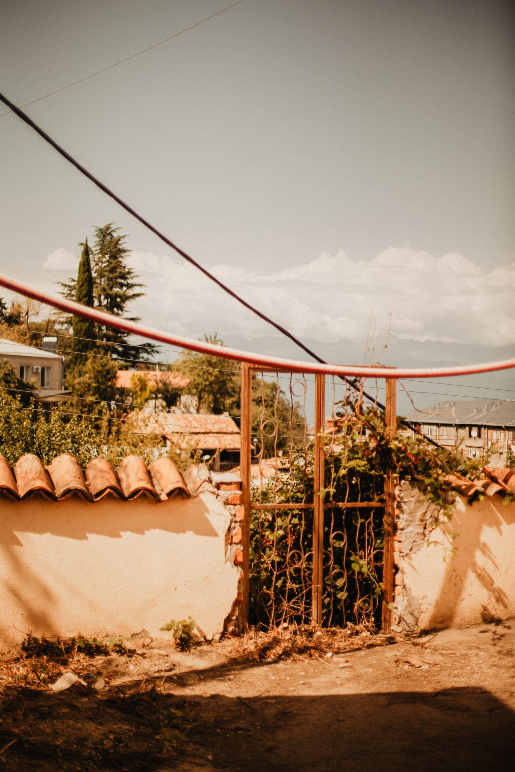 Грузинские каникулы. Violetta Skripka