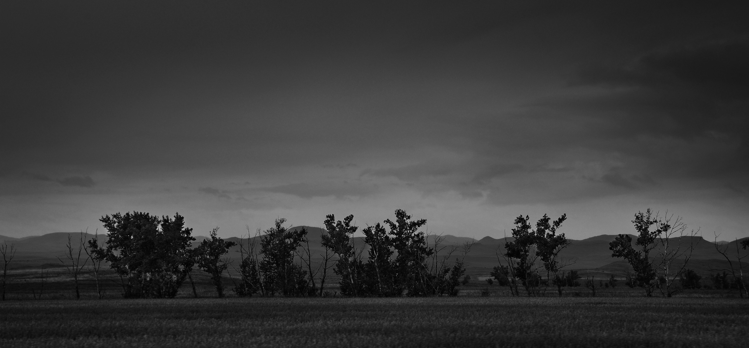 Хакасия черно-белый. Катерина Михеева