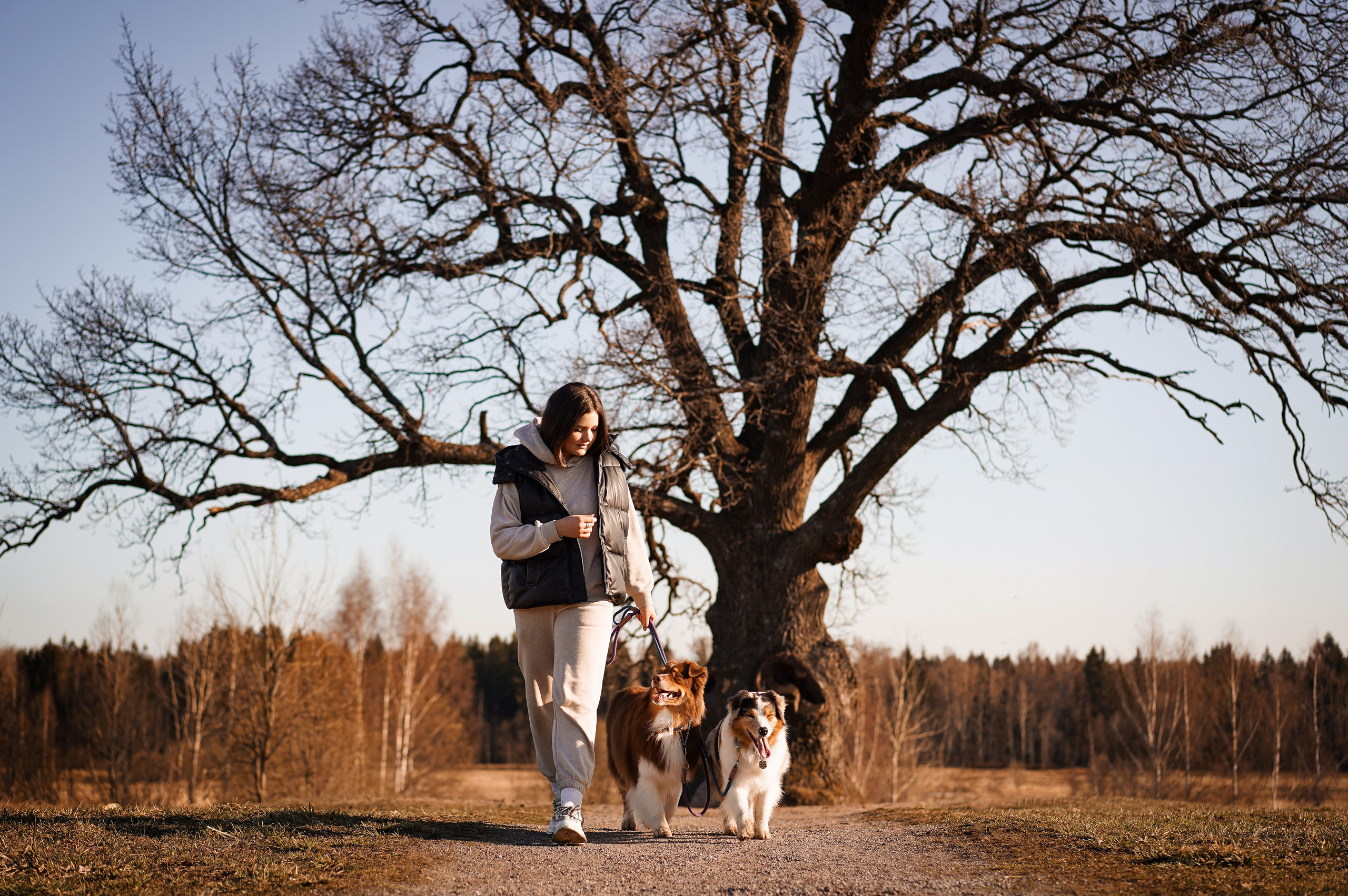 Кристина Рокки и Валькирия. Фотограф-анималист в Санкт-Петербурге Яна Мартынова