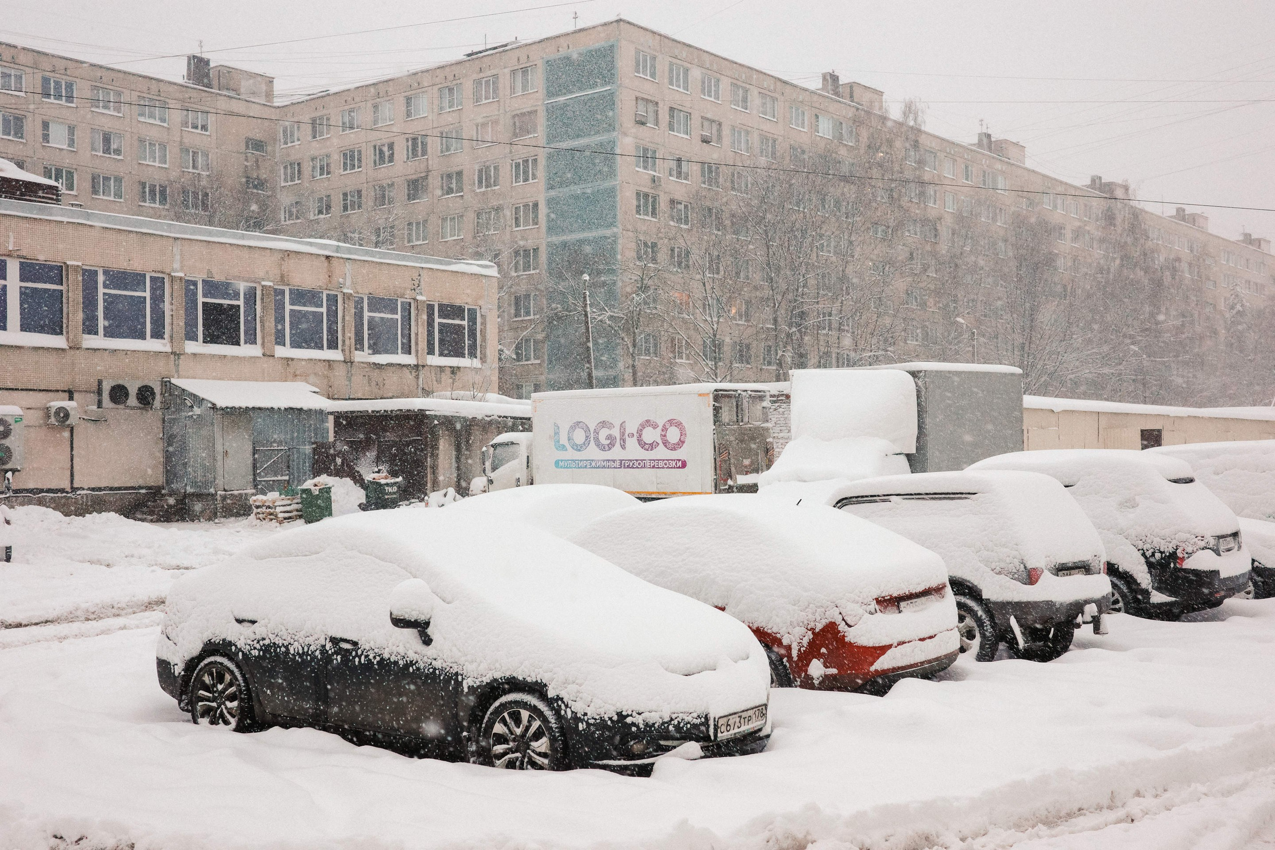 2025.01. Фотограф Алексей Алексеев