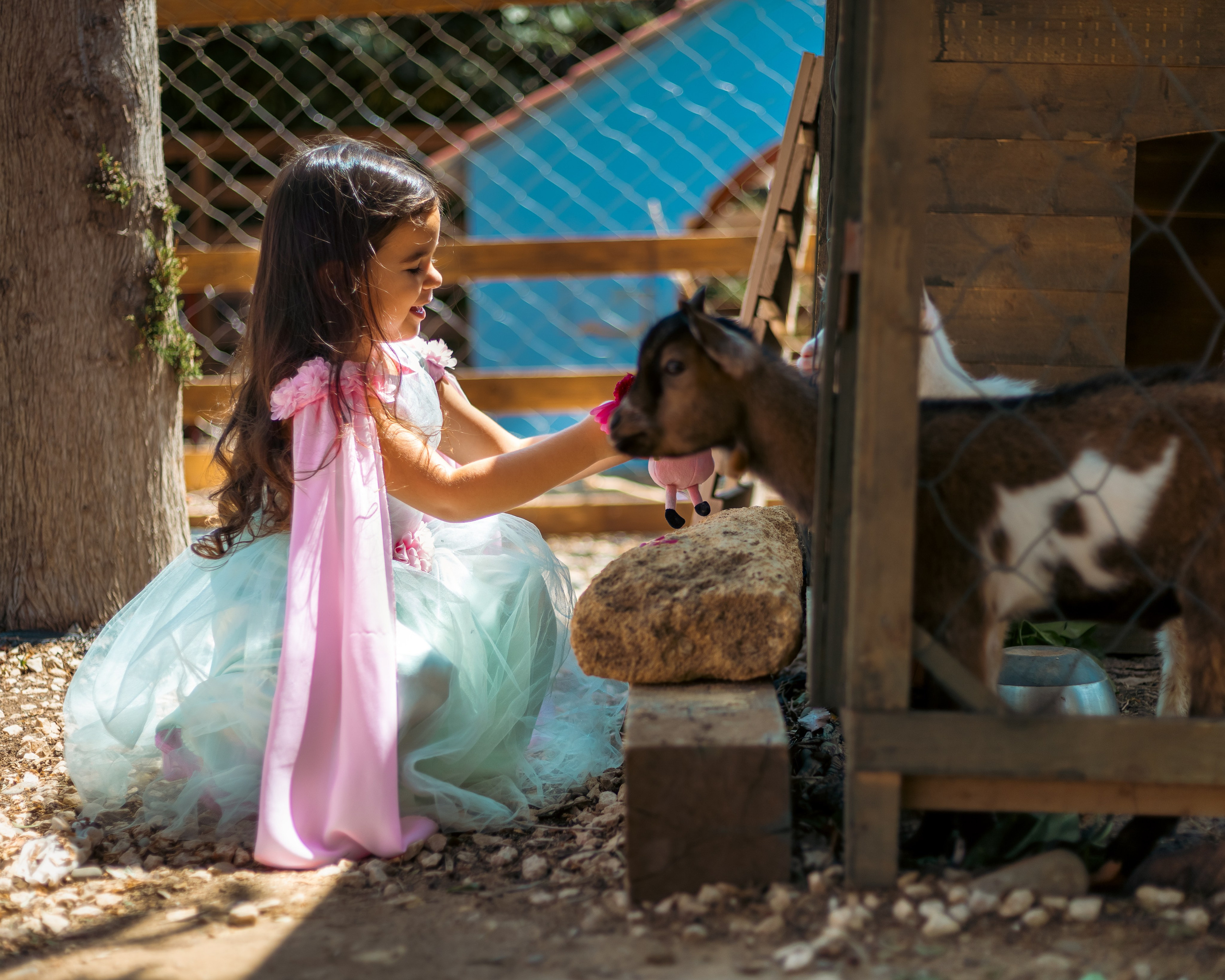 Alina&Ilara Happy cafe. Семейный фотограф Израиль