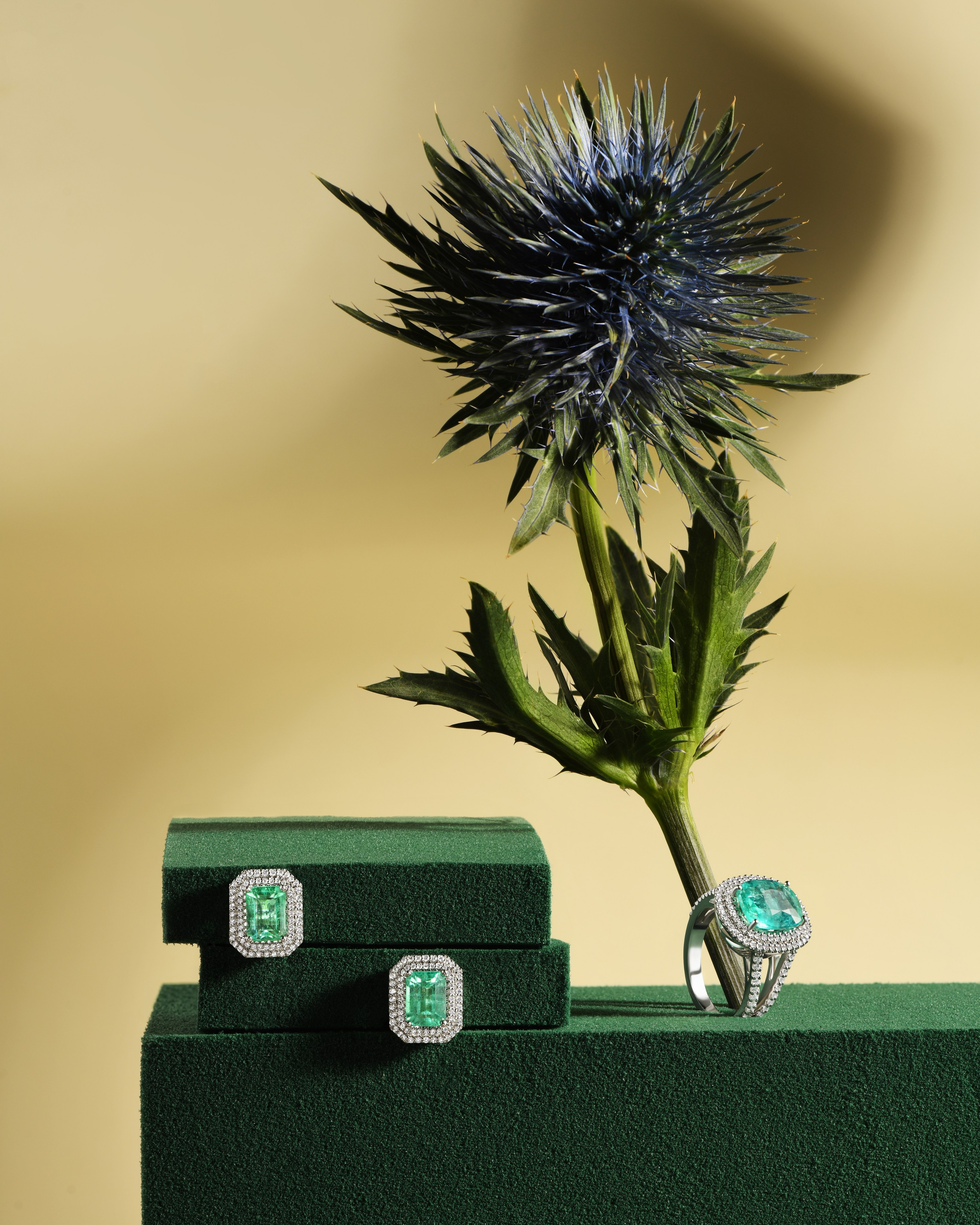 съемка ювелирных изделий цена