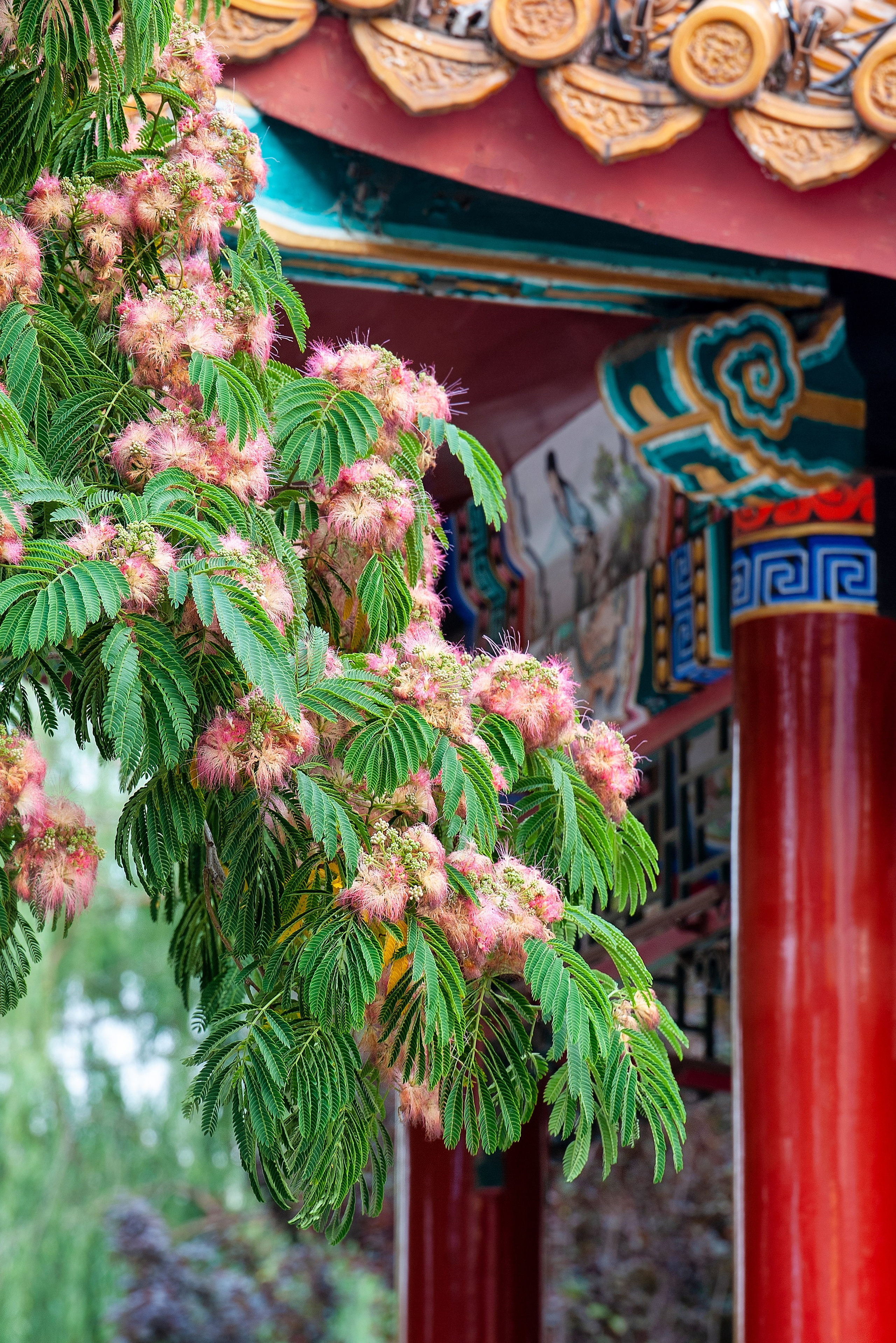 Весна. FotoGraf