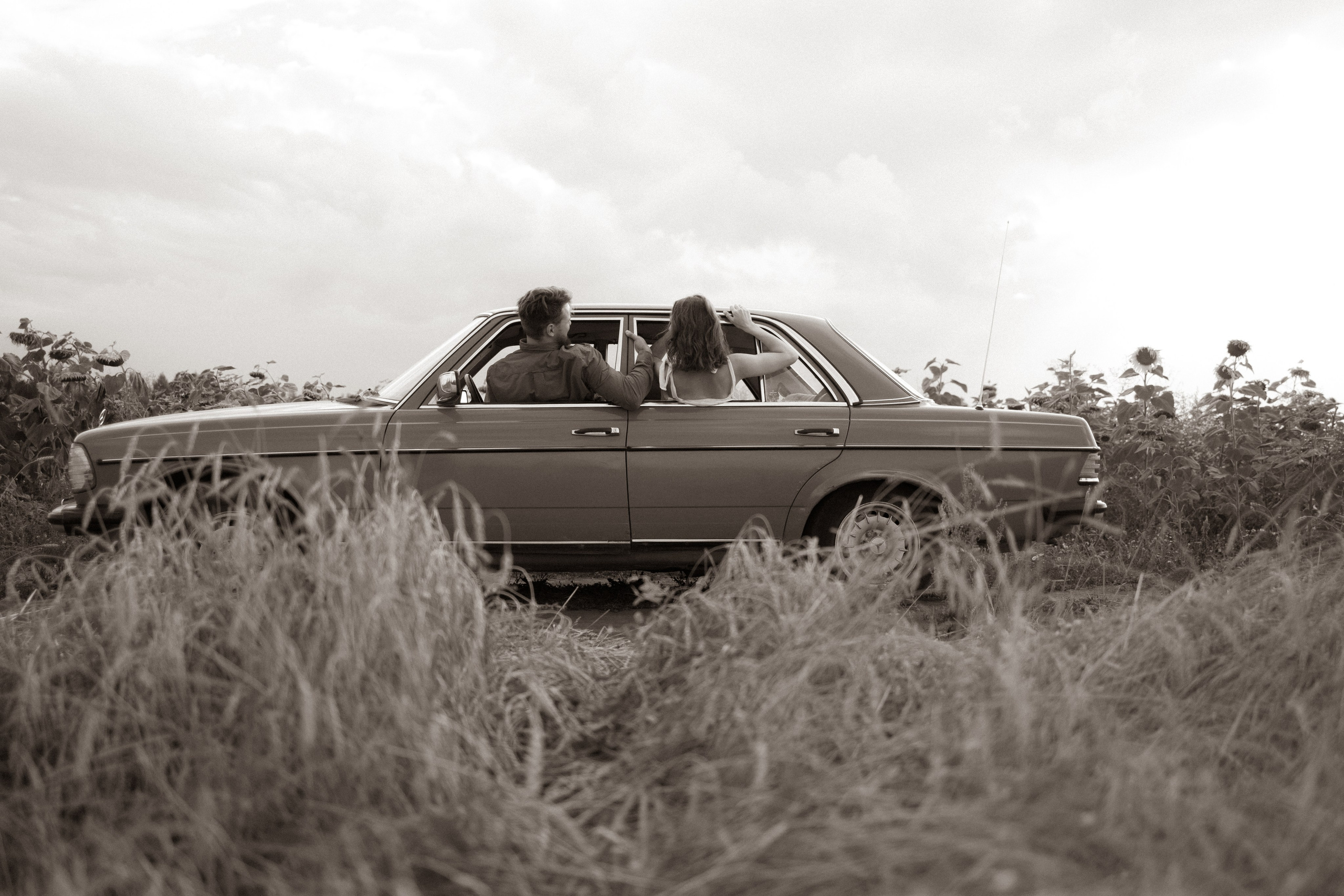 В поле подсолнухов. Фотограф Зарина. Казань