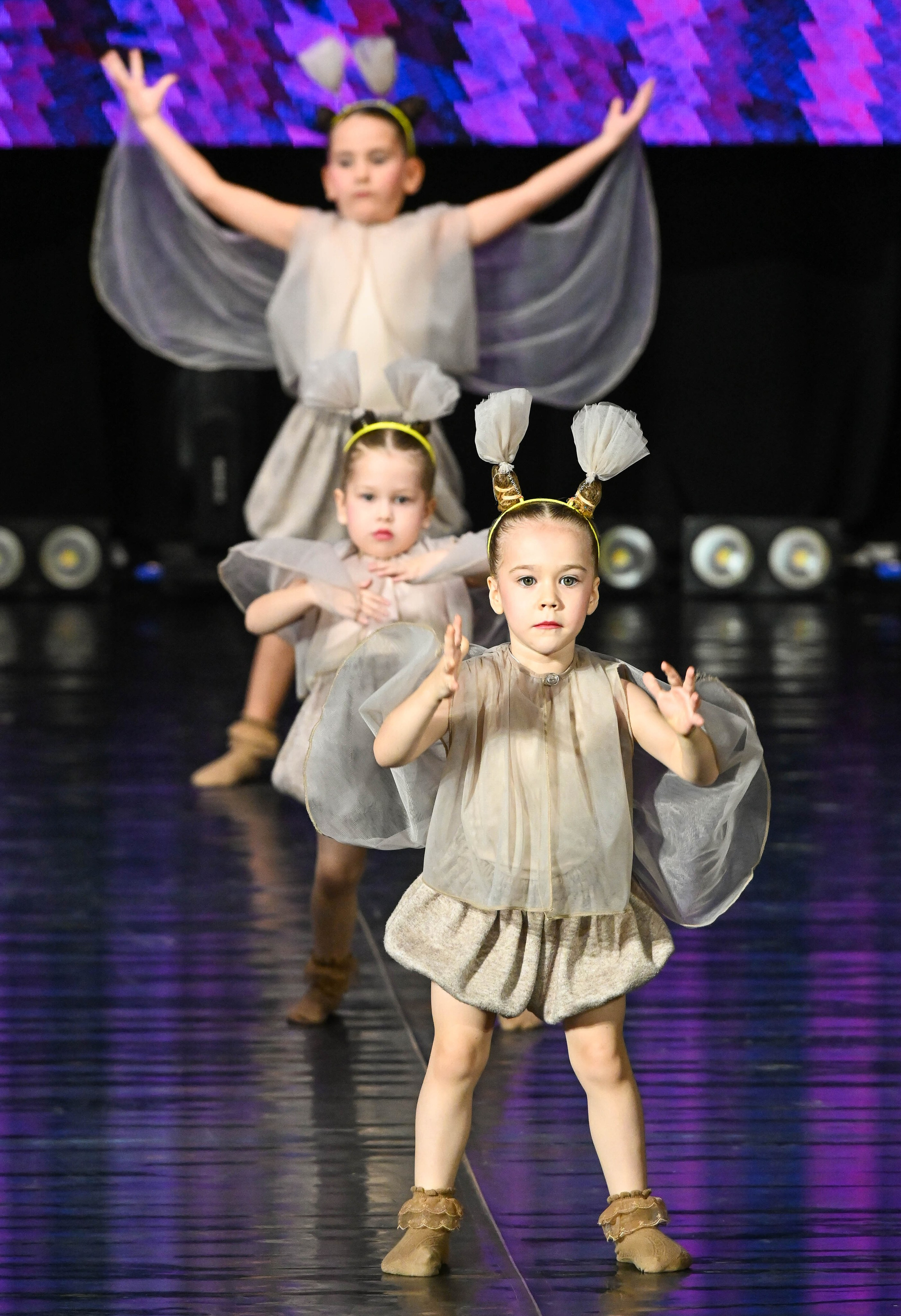 24.11.2024 Фестиваль хореографического искусства «АРТ-КОМПАС. Поволжье» г. Самара. Медиастудия Фото Концепт