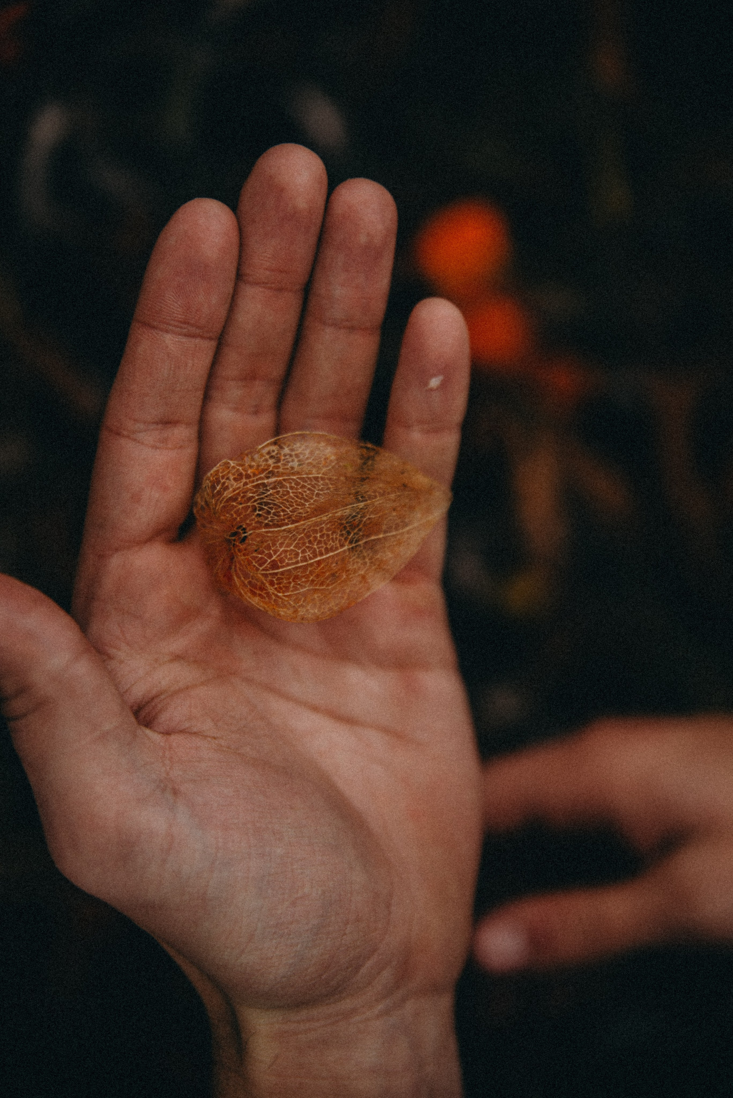 Ельня, Беларусь. Anita_photo