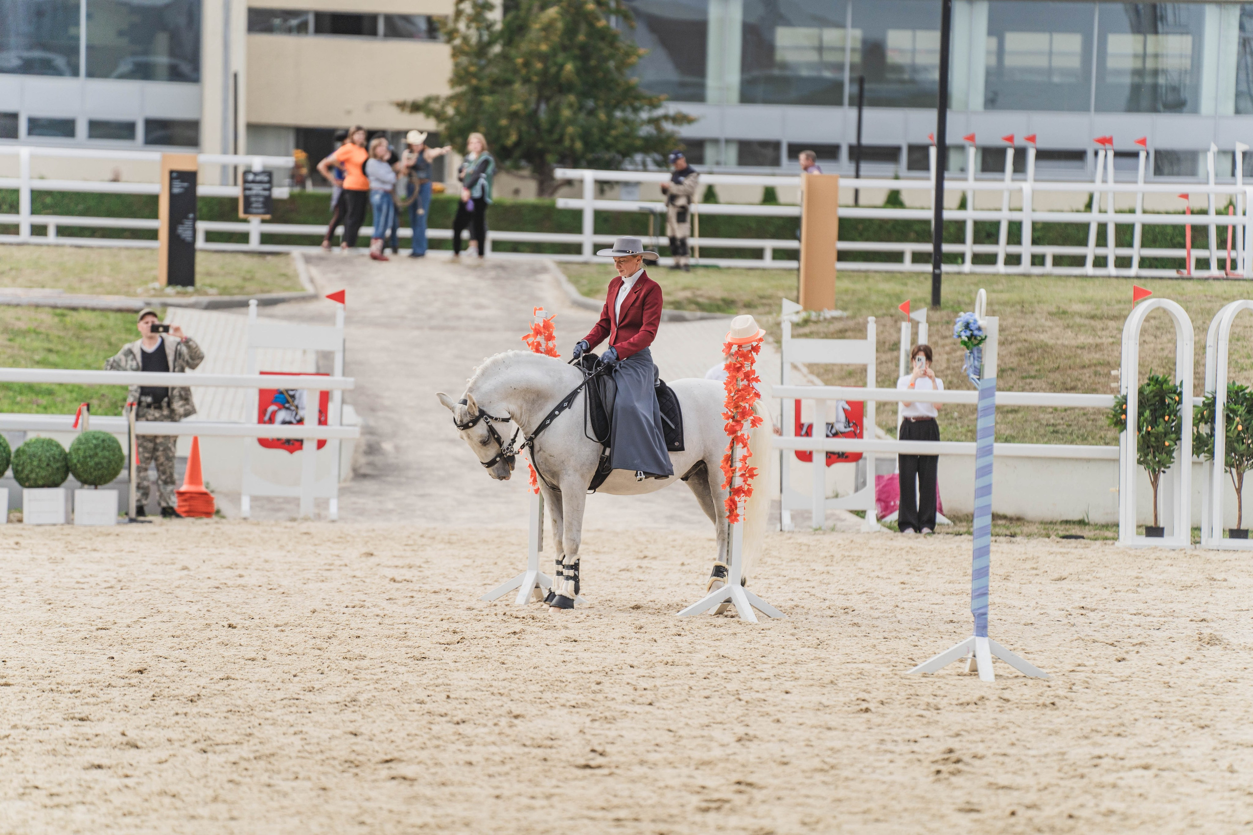 Мастер-класс по рабочей выездке. Фотограф в Москве Ленарская Дарья