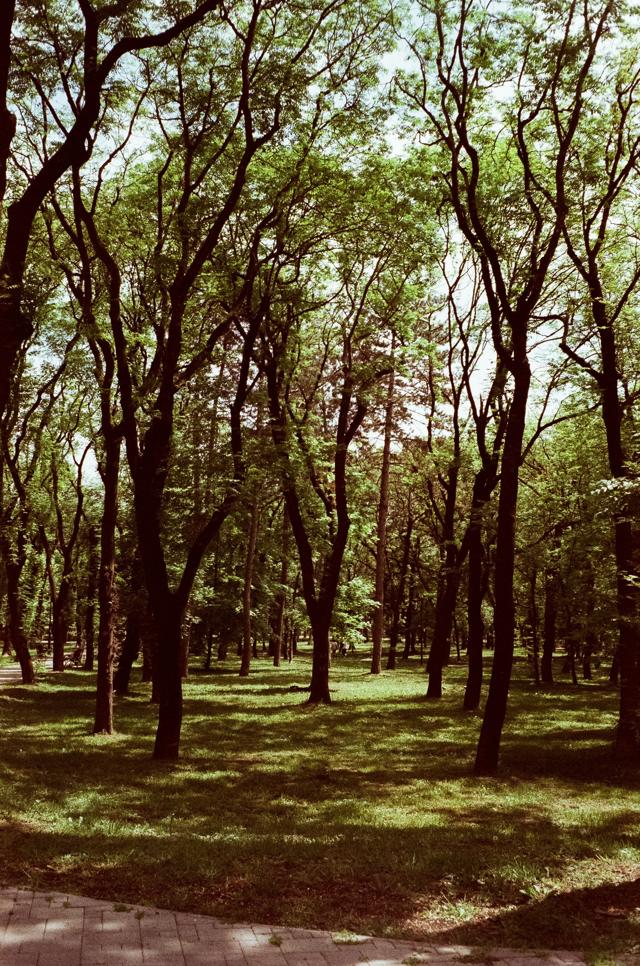 Ессентуки прогулка по городу / Minox 35GT / Agfa Vista 400 (просрочка)