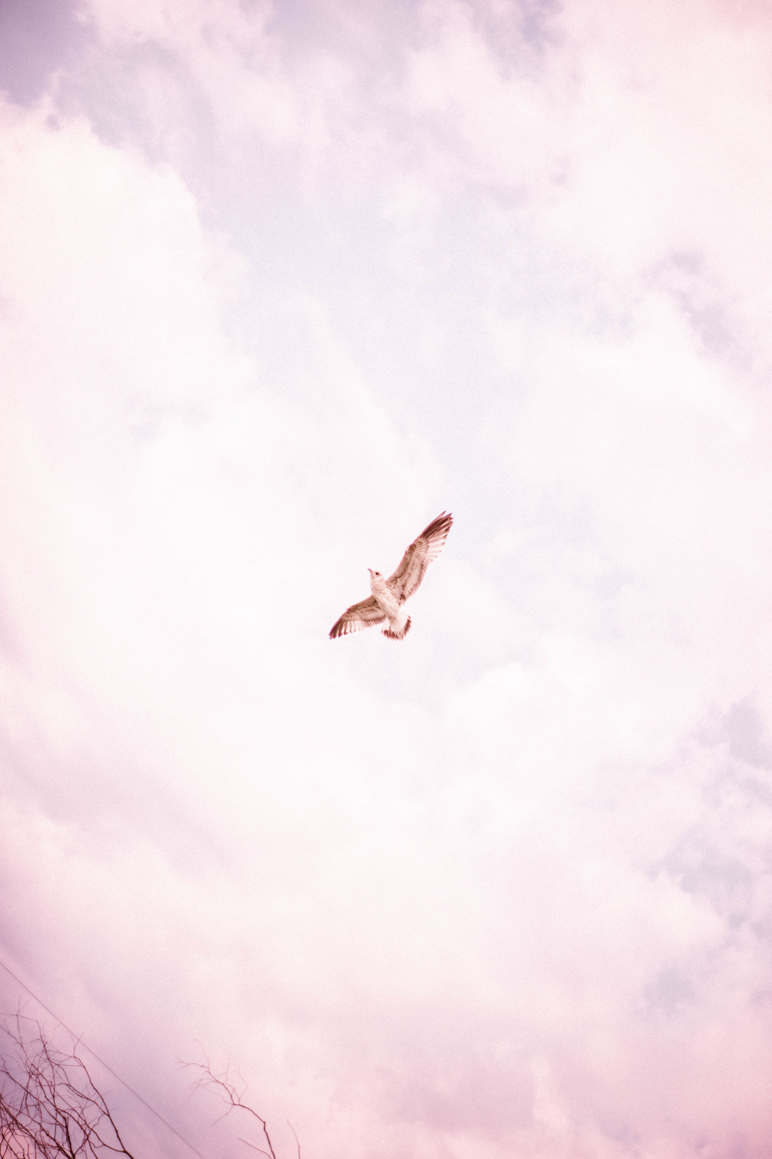 ФотоТуса ГОРЕ-МОРЕ. Фотограф в Нижнем Новгороде