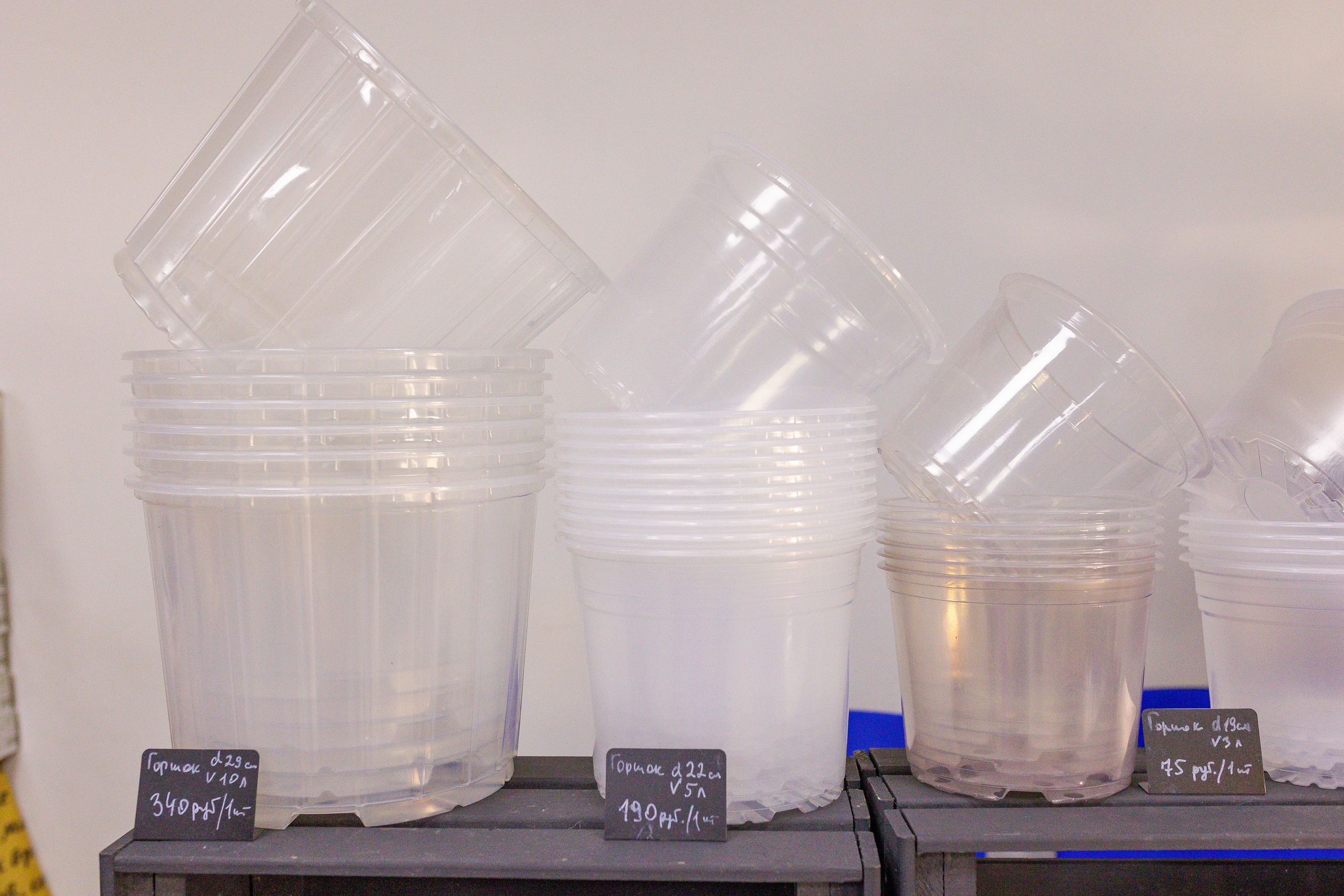 Орхидиум сентябрь 2025. Александра Куликова фотограф, Москва