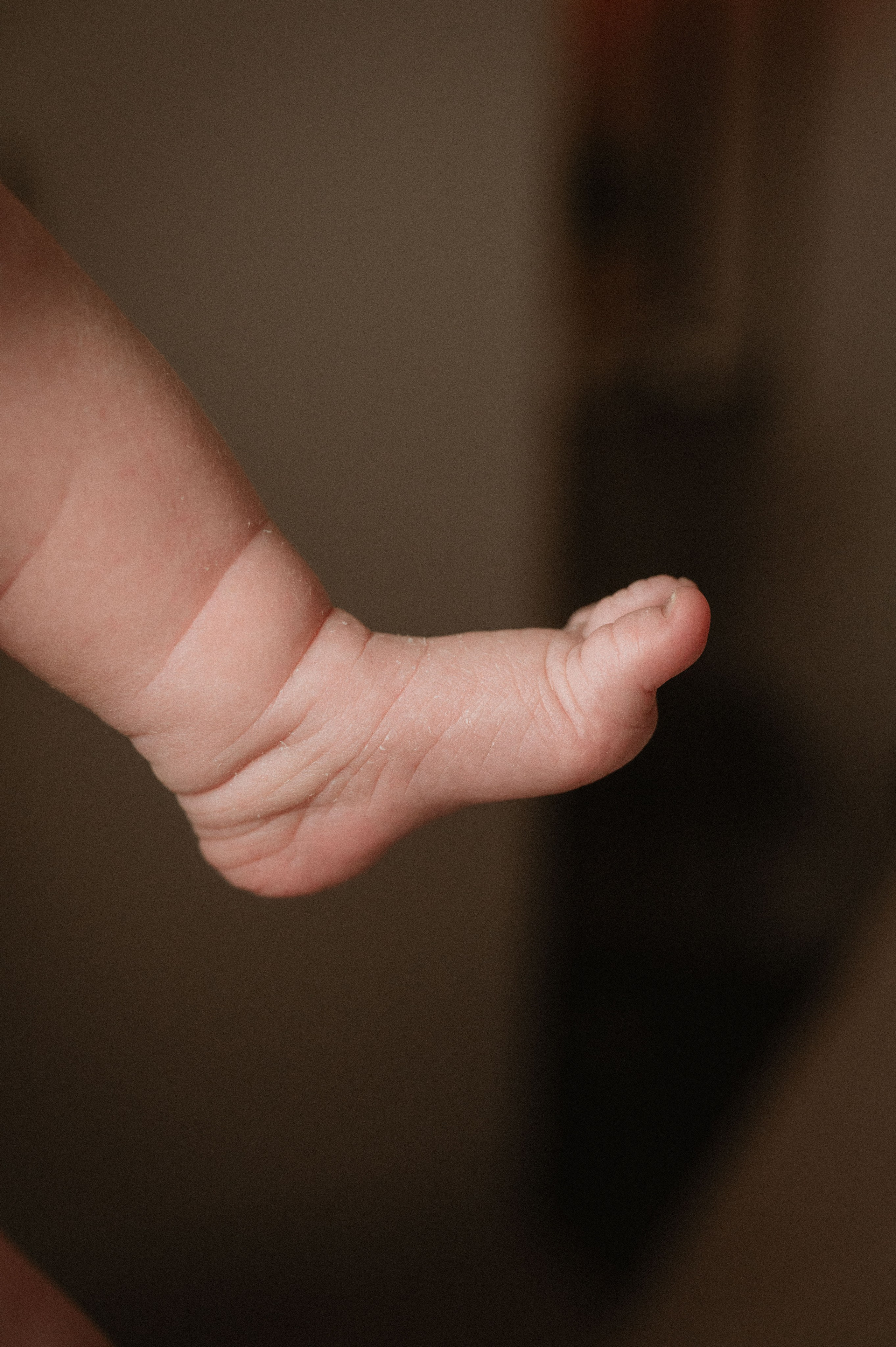 Лизавета, Никита и Мирослава. Фотограф беременности и семьи, домашние съемки, Ньюборн