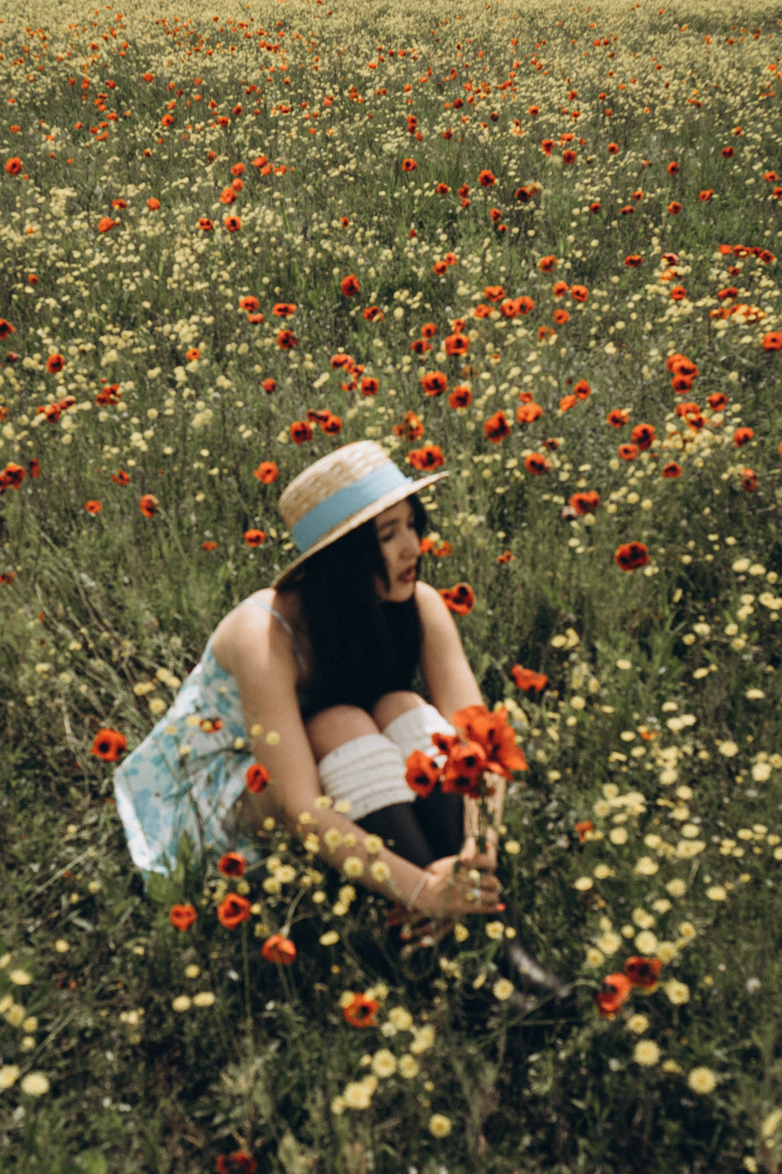 Цветочная поляна. Профессиональный фотограф, Санкт-Петербург — Виктория Богомолова