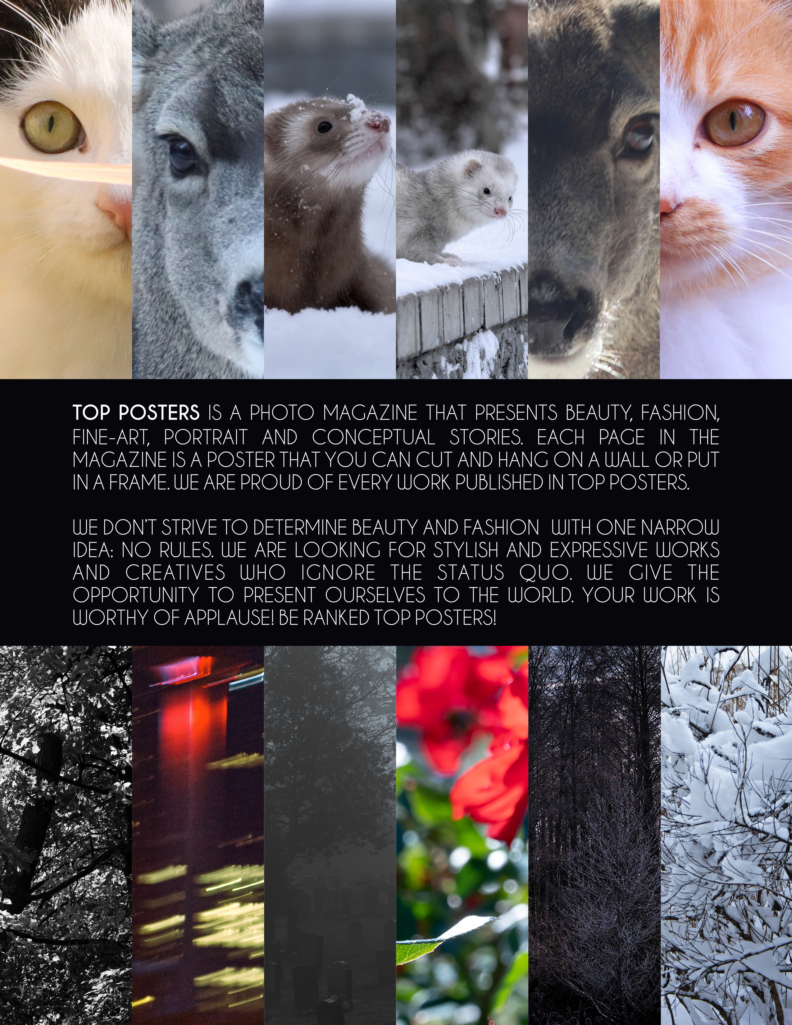 Встреча с хорьками. Фотограф