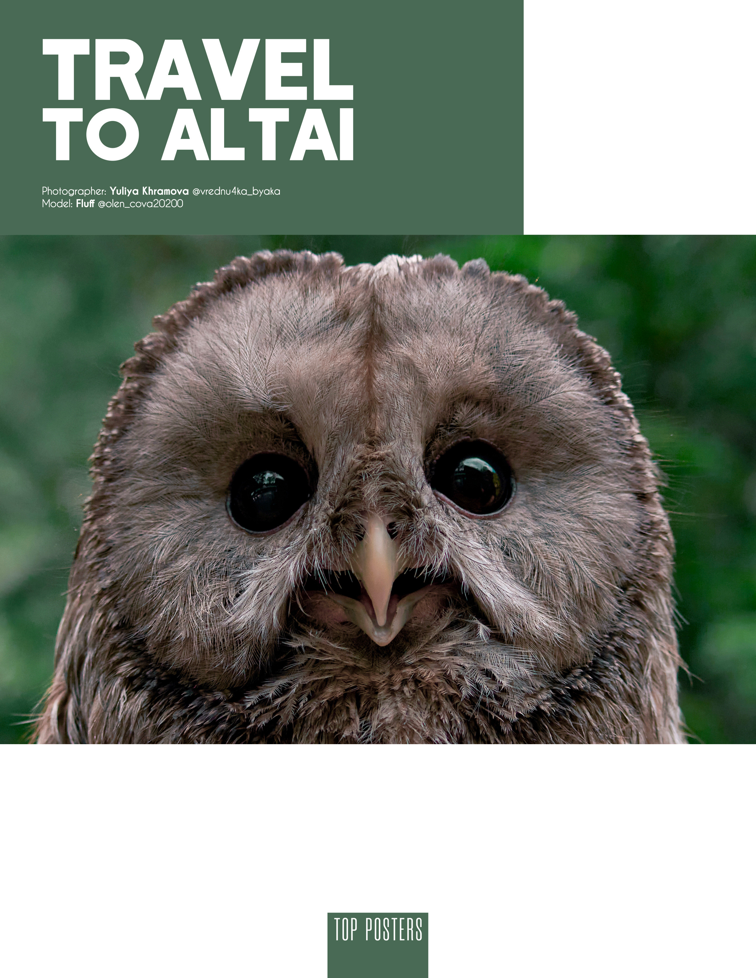 Travel to Altai. Фотограф