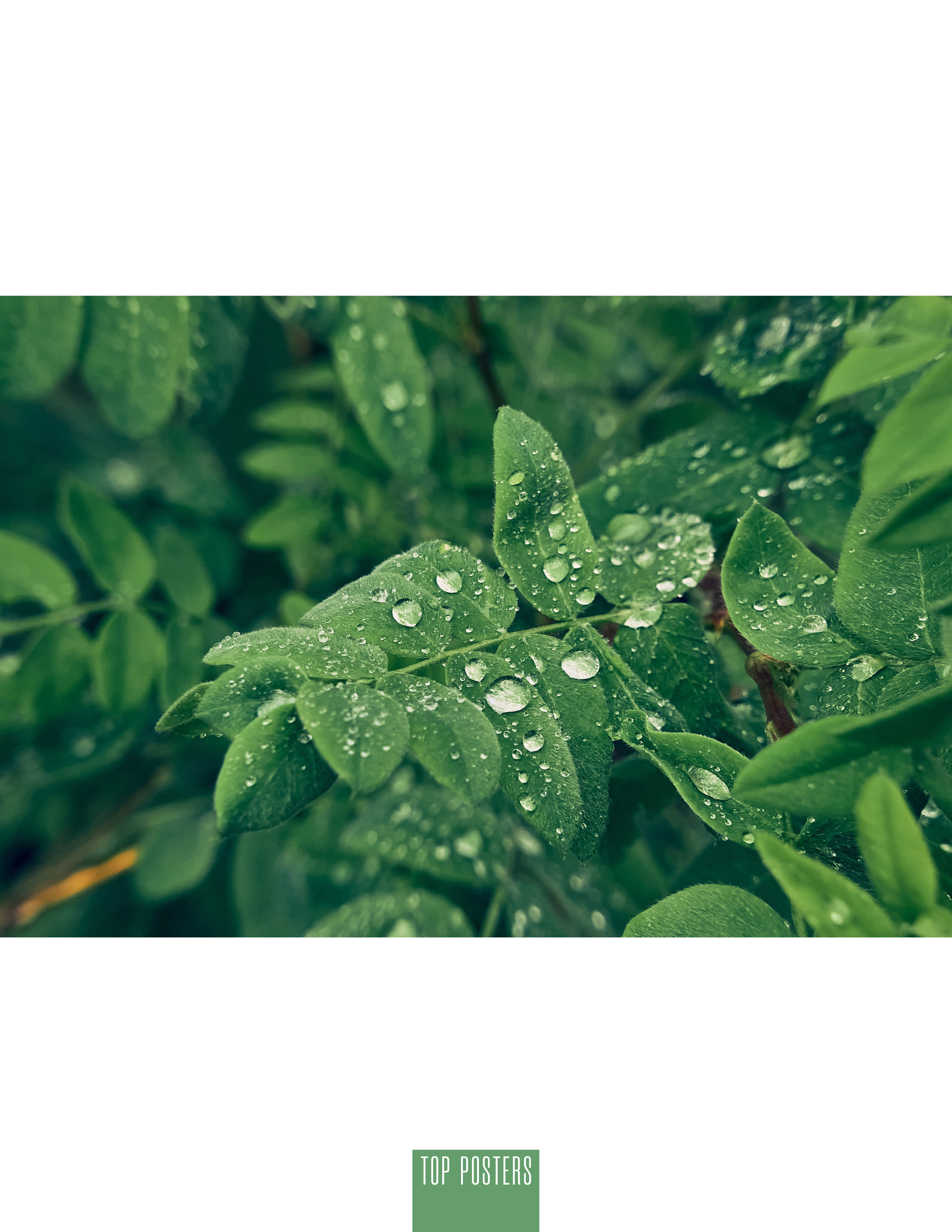 Siberia nature. Фотограф