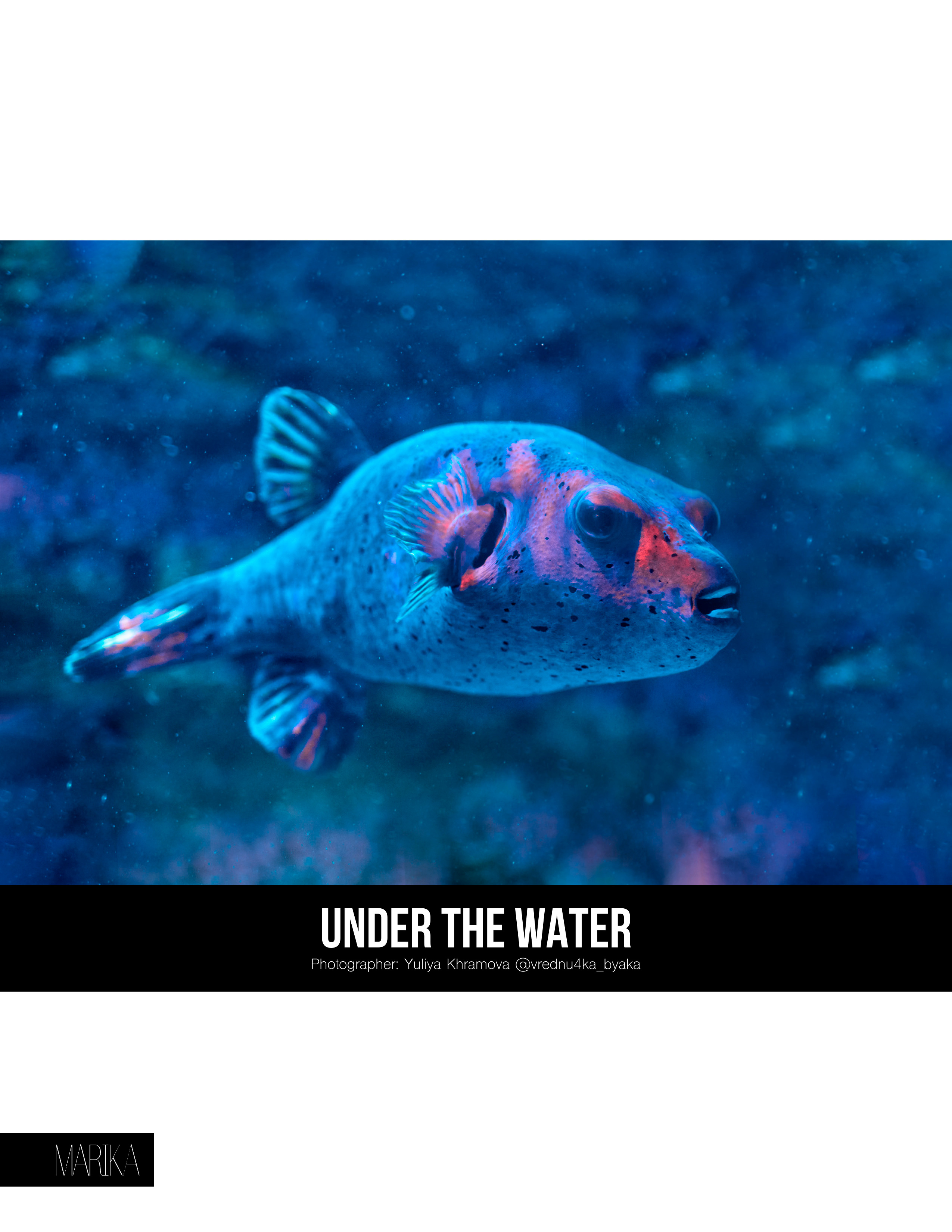 Подводный мир. Фотограф