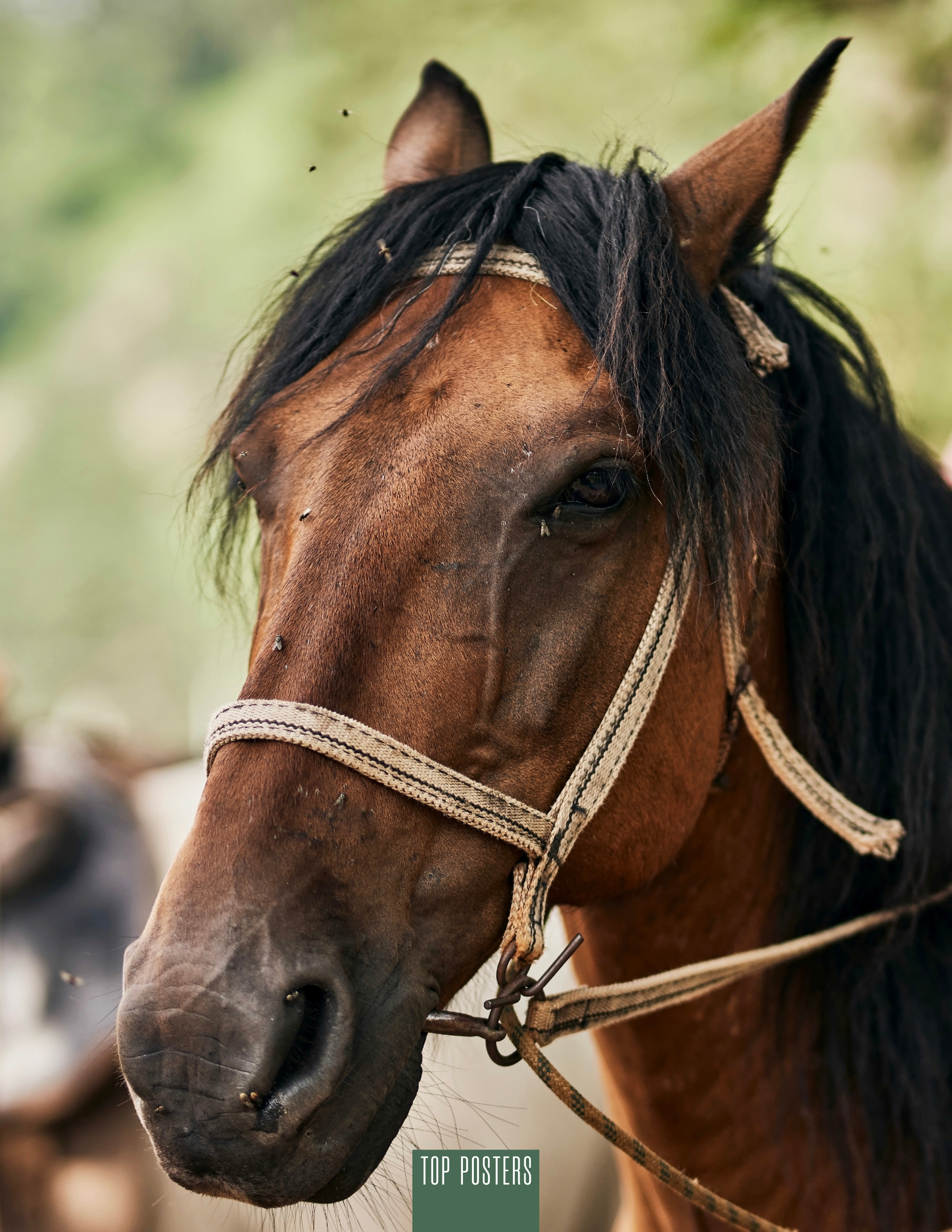 Travel to Altai. Фотограф