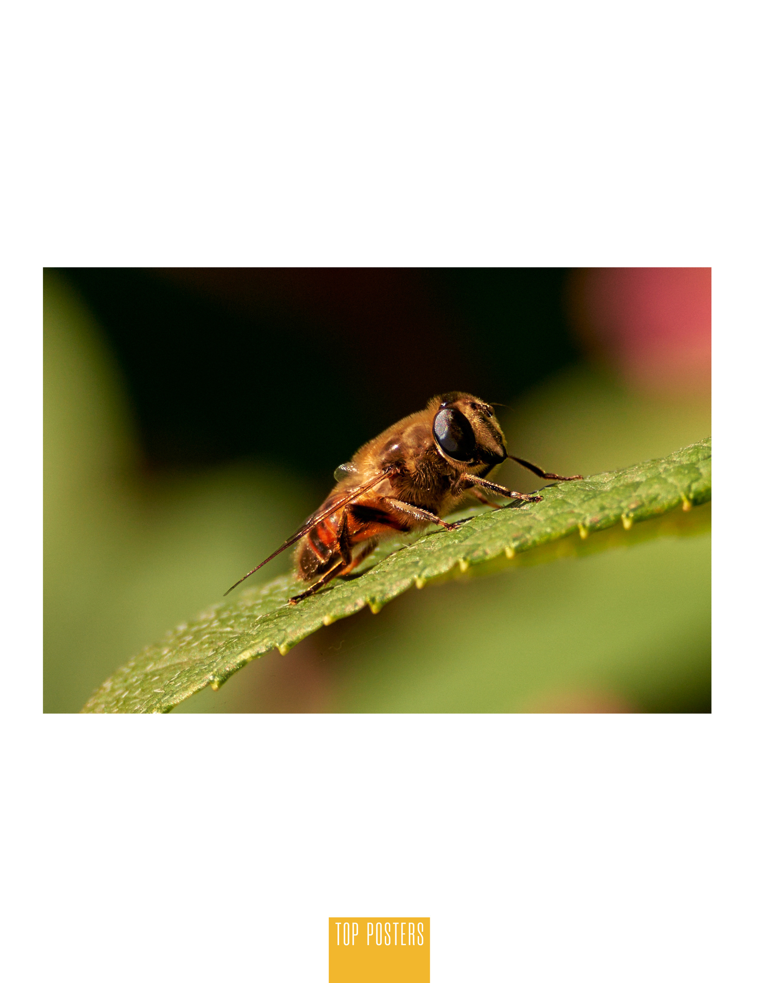 Томск в Сибири. Фотограф