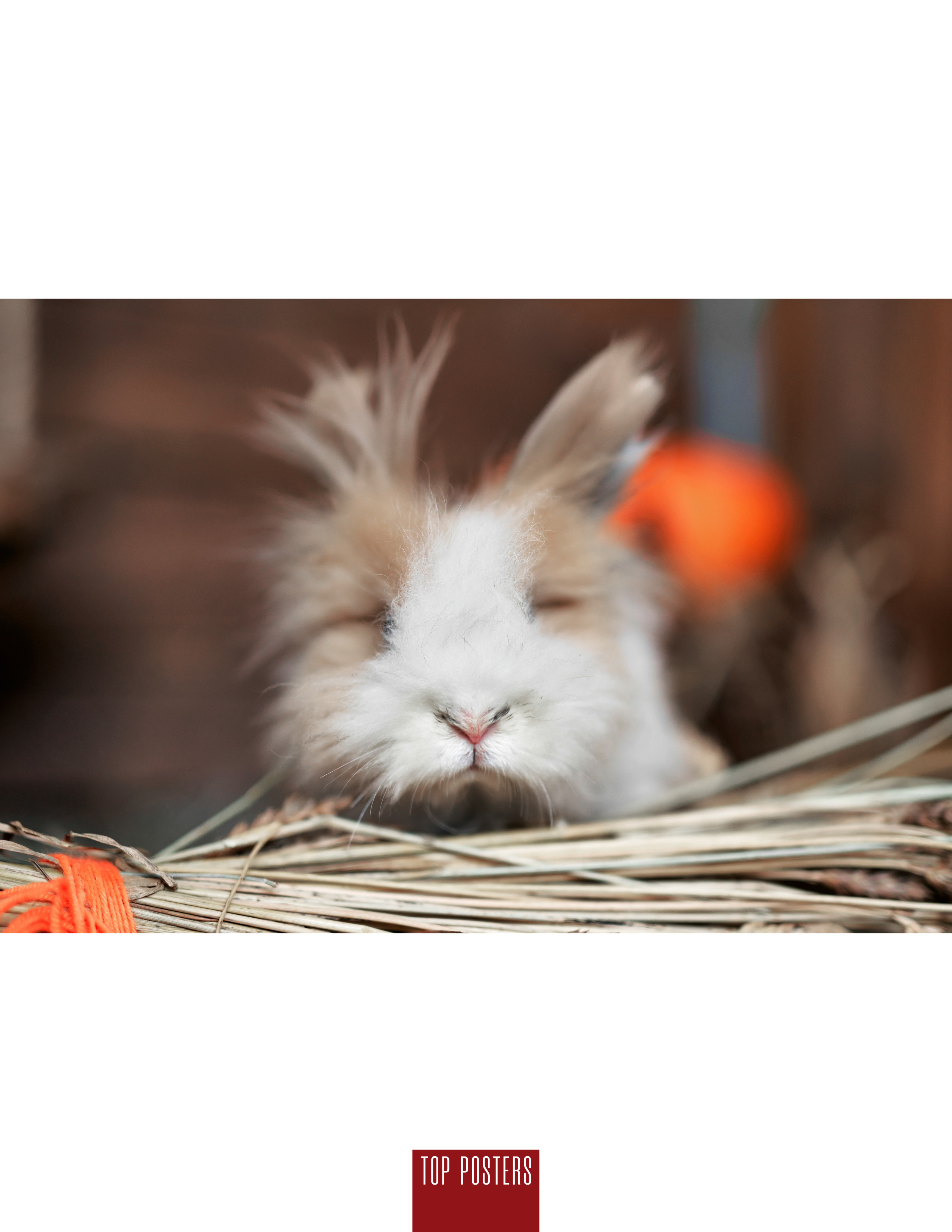 В гостях у осени. Фотограф