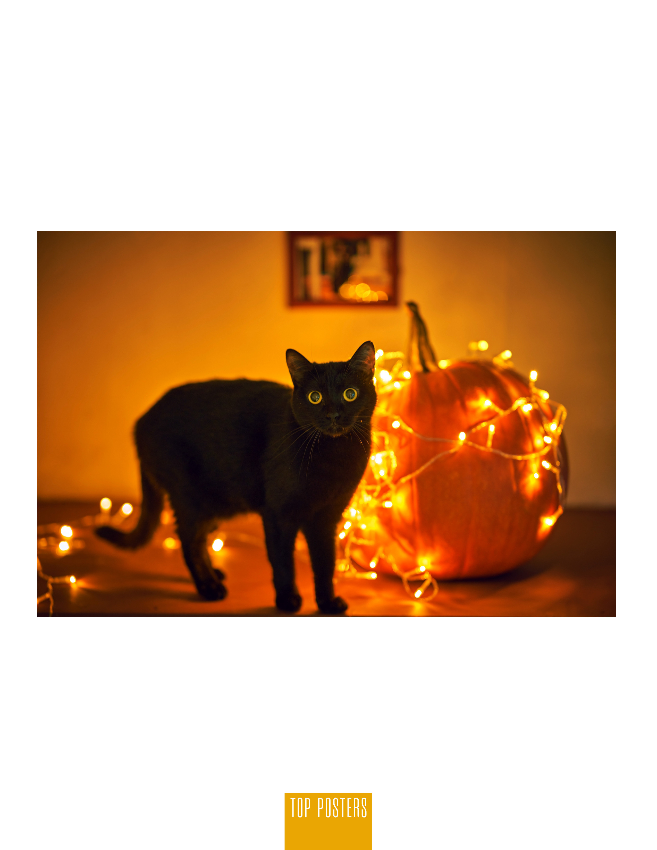 Хэллоуин в Томске. Фотограф